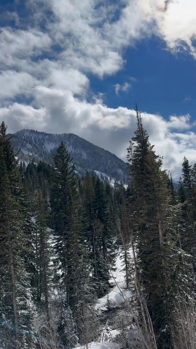 Snowbird - View from base - Ski Resorts Near Me - Snowbird, Utah