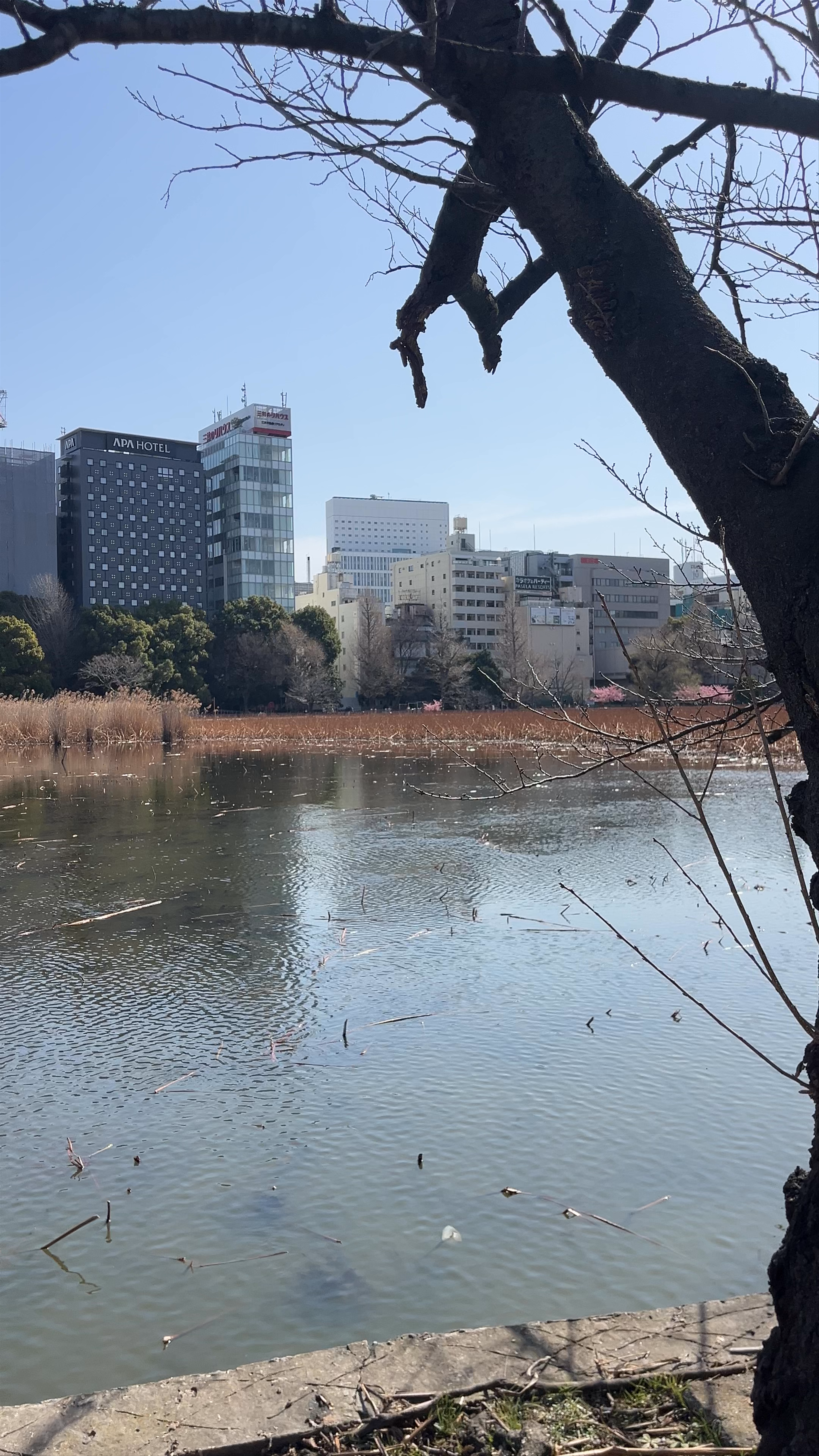 Shinobazu no Ike Bentendō