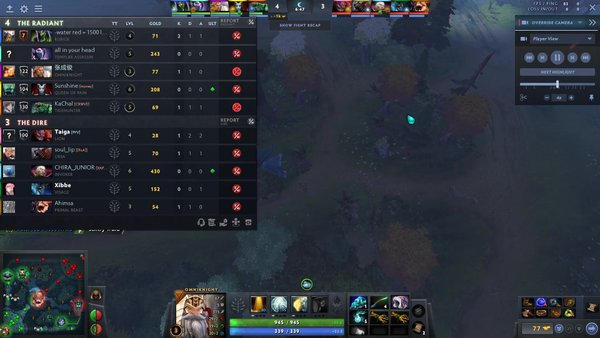 Mentality of a Dota Player
