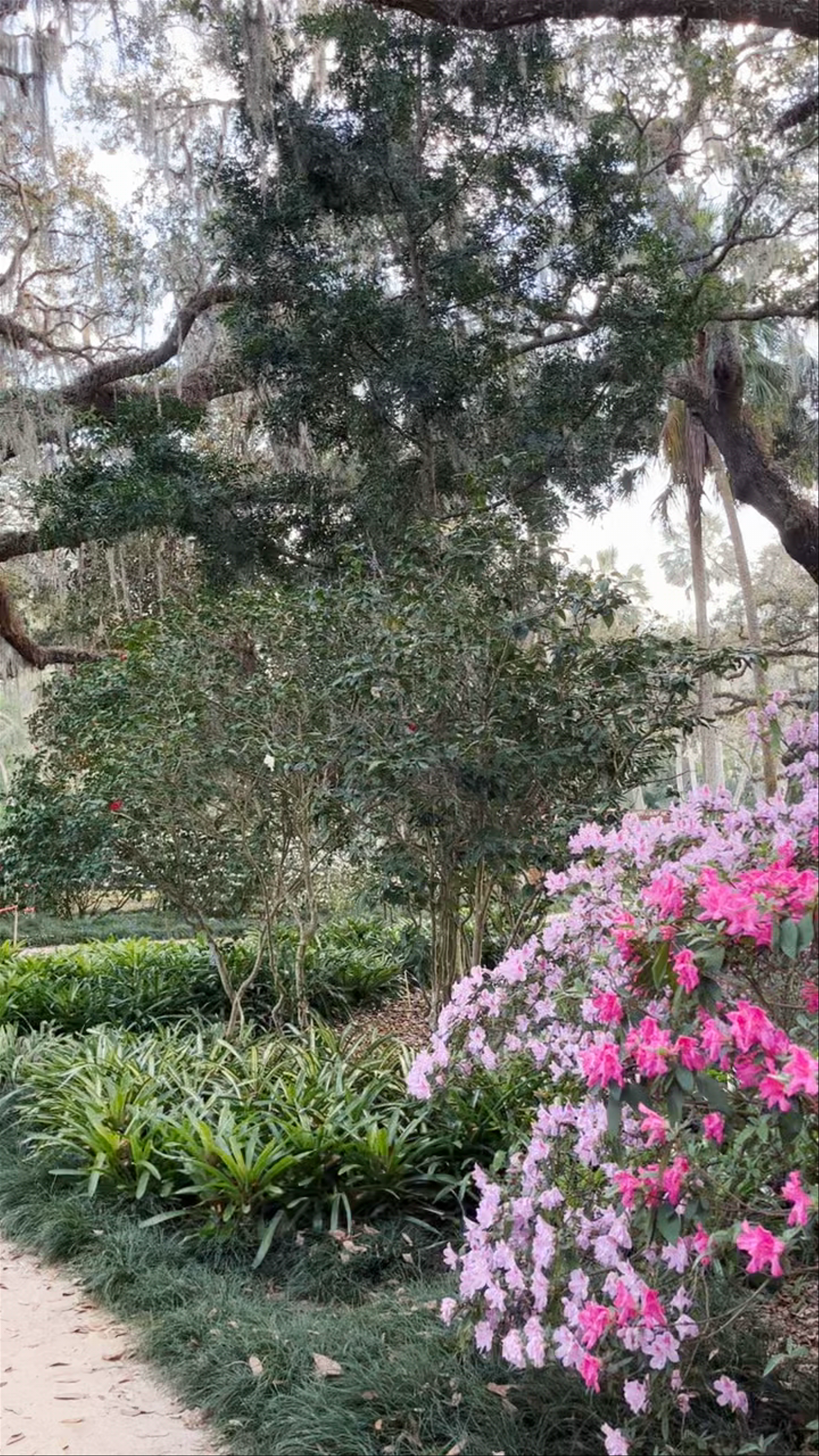 Washington Oaks Gardens State Park