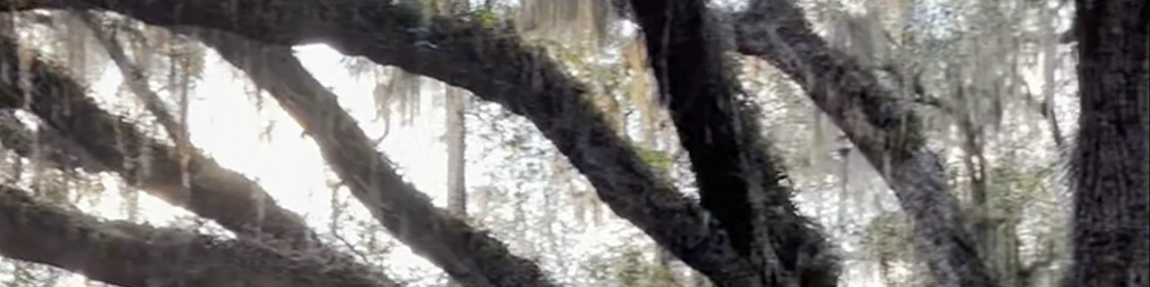 Washington Oaks Gardens State Park