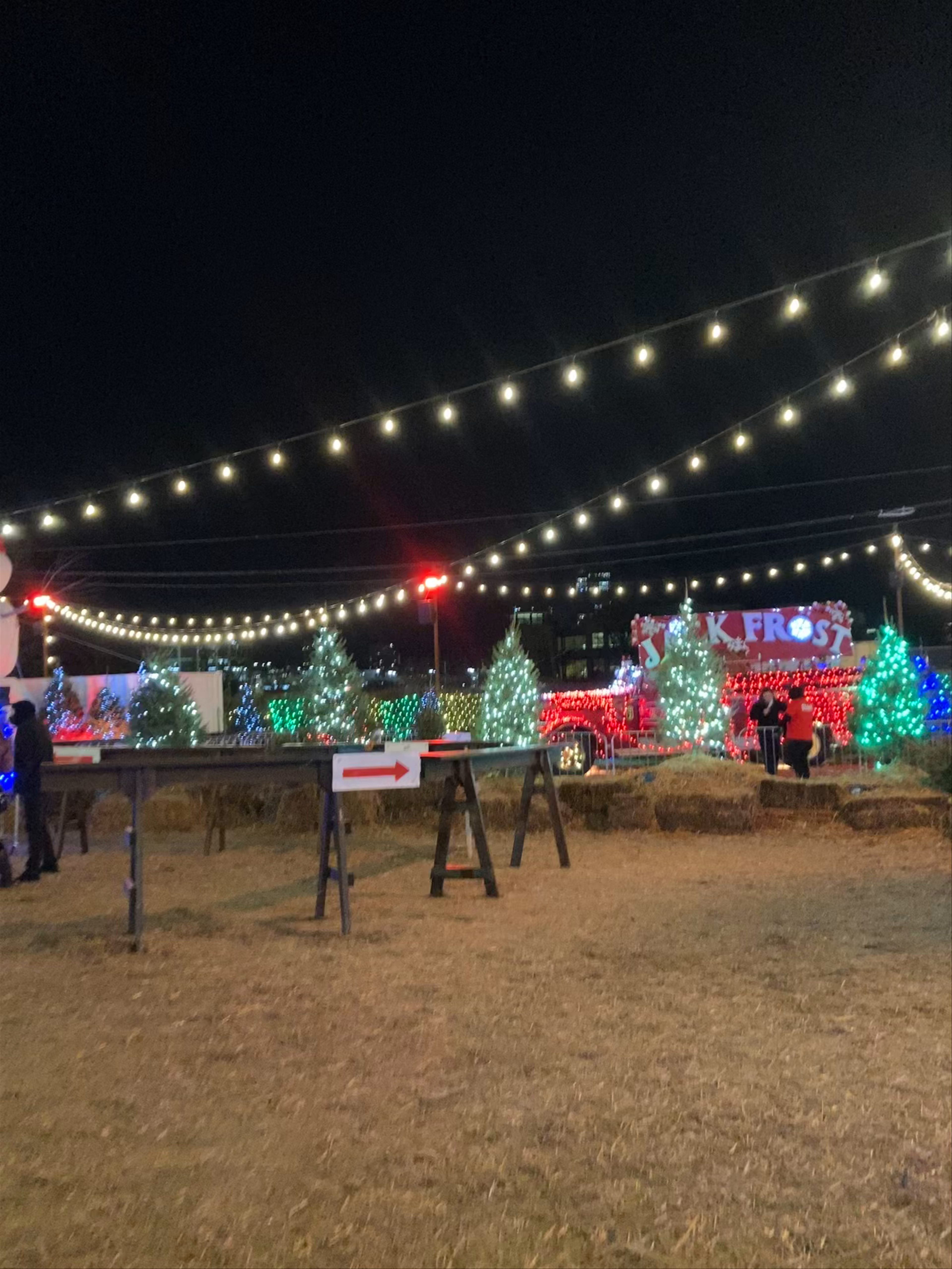 Jack Frost Winter Village