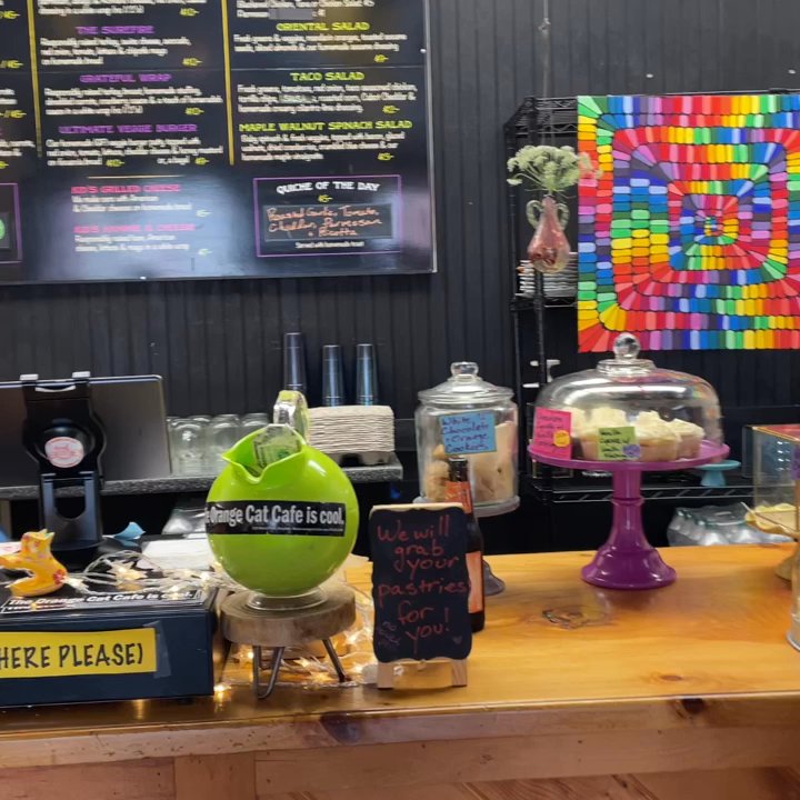 Orange Cat Cafe - Cafes Near Me - Farmington, Maine