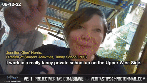 Video Thumbnail Loop