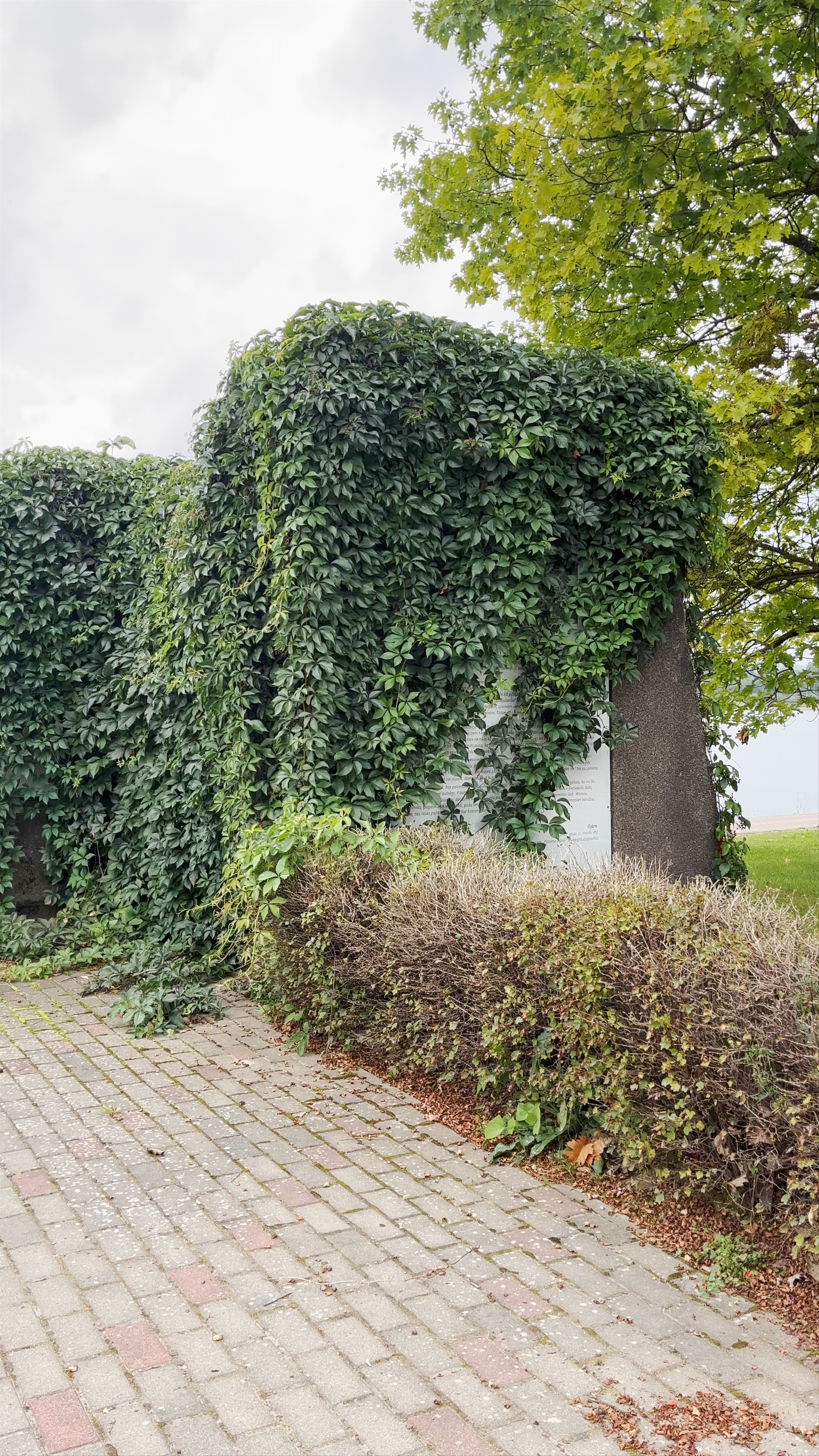 Pļaviņu promenāde