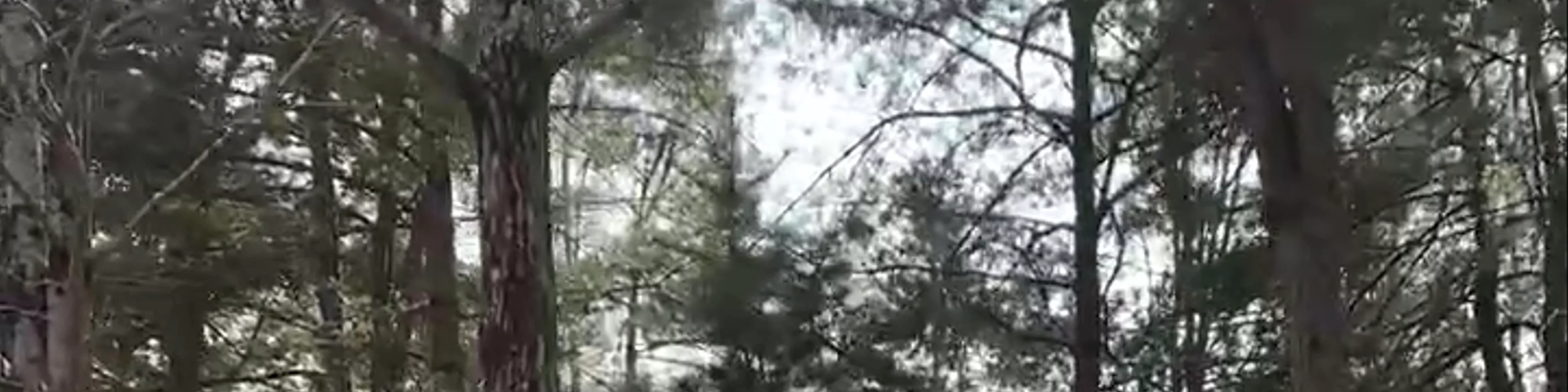 Nami Island