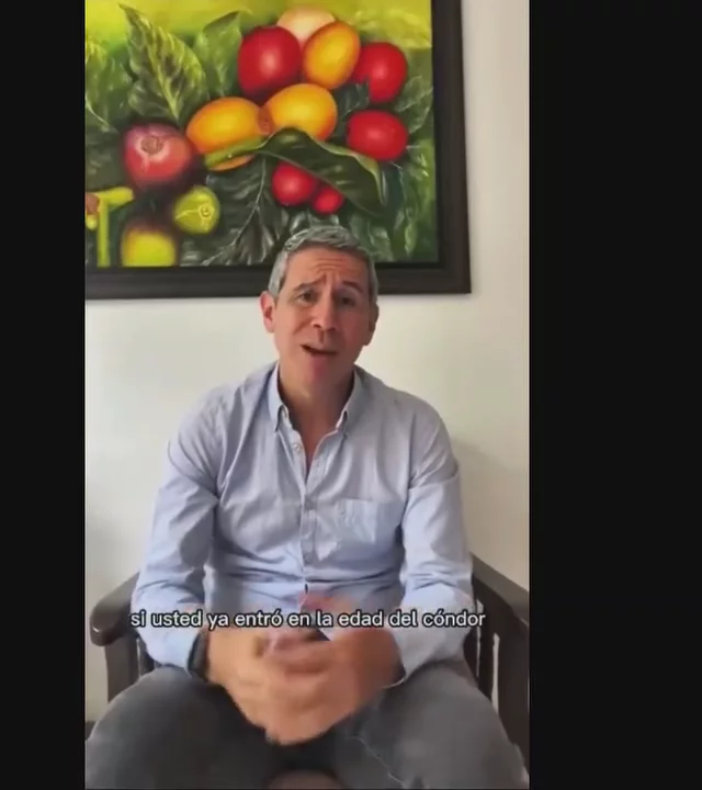 Contenido del creador