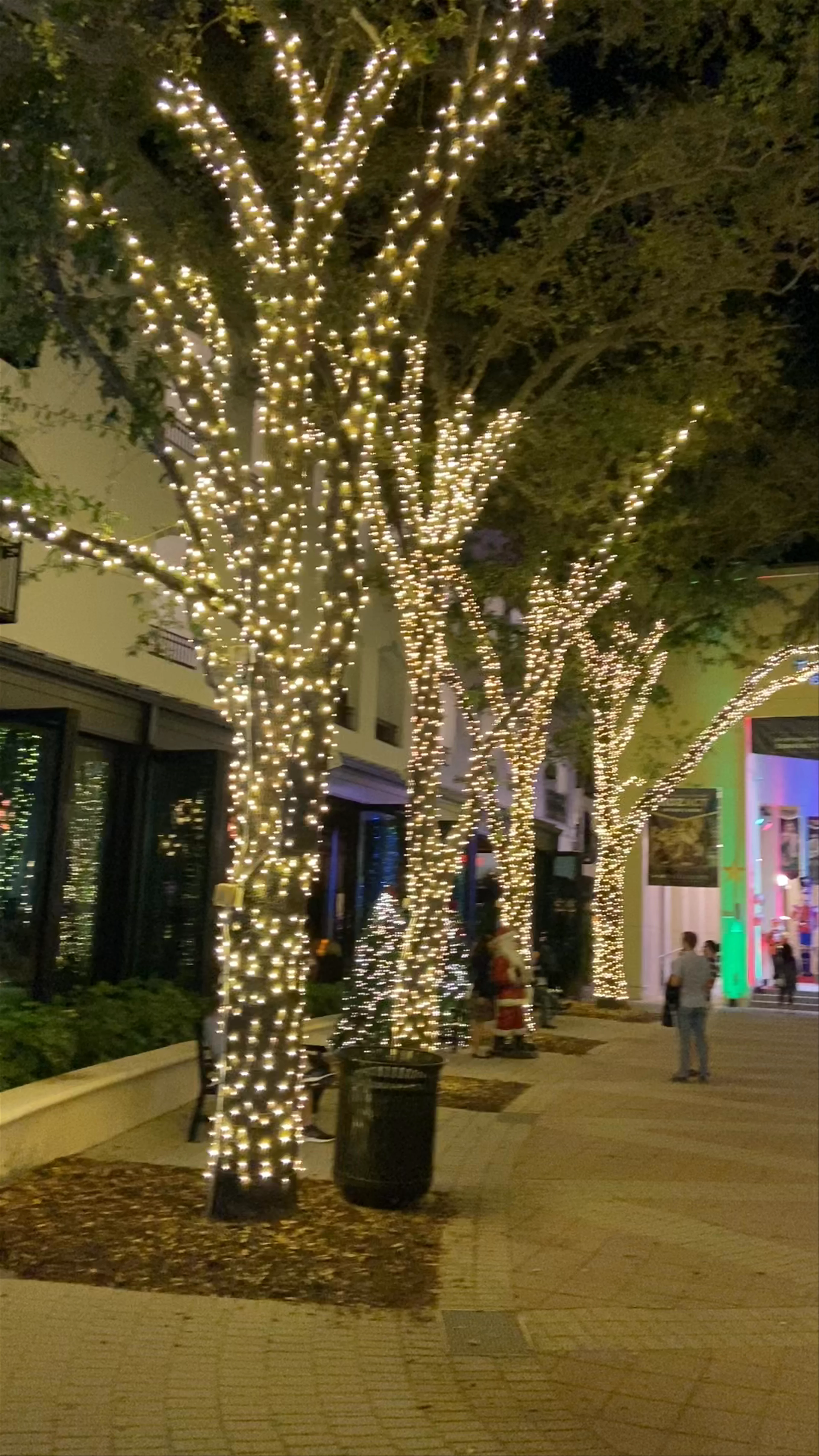 5th Avenue South