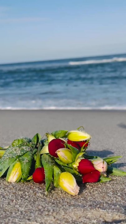 Ortley Beach - Beaches Near Me