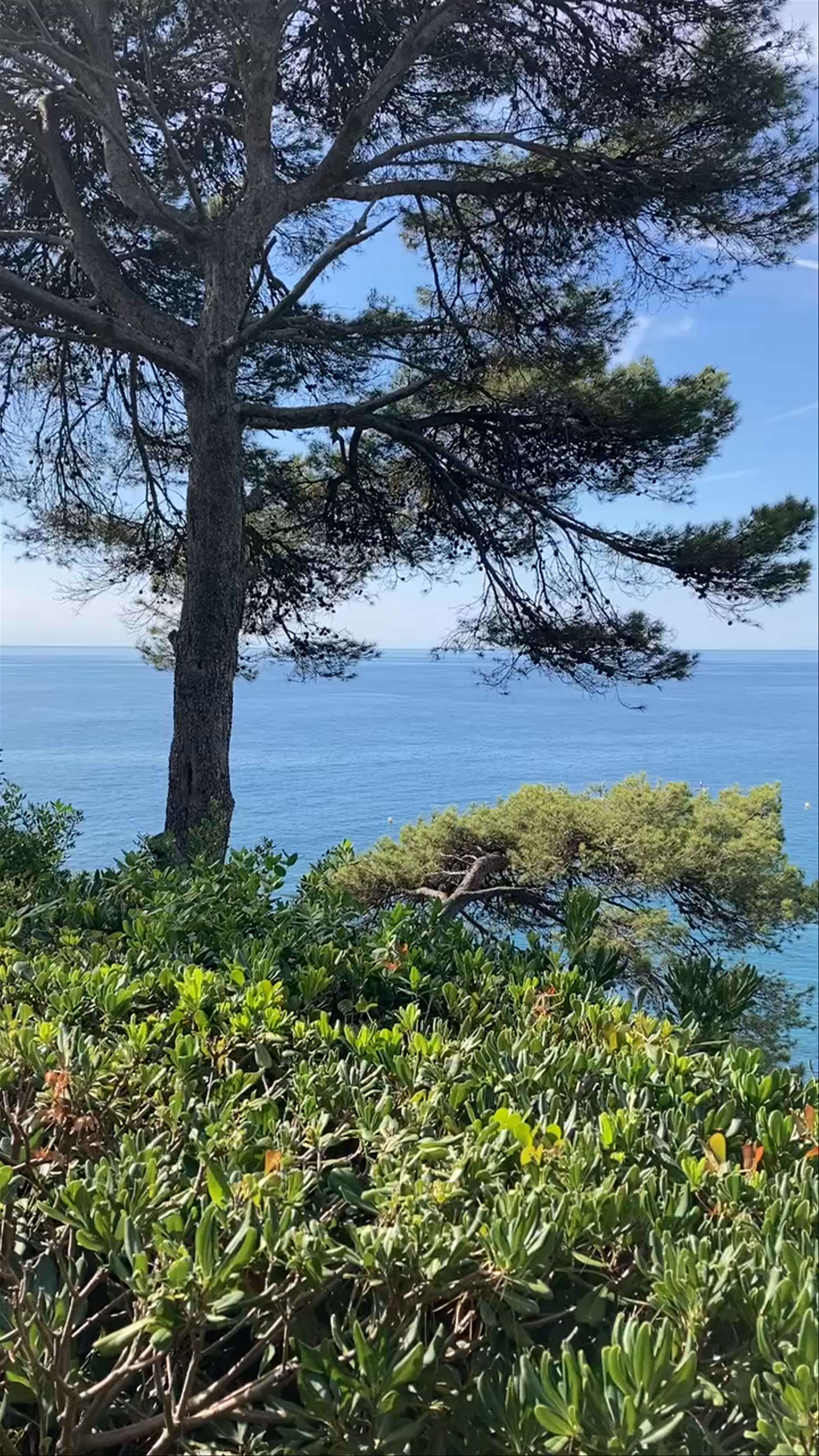 Jardines de Santa Clotilde