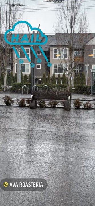 Ava Roasteria - Working meeting and crazy weather! - Coffee & Tea Near Me - Hillsboro, Oregon