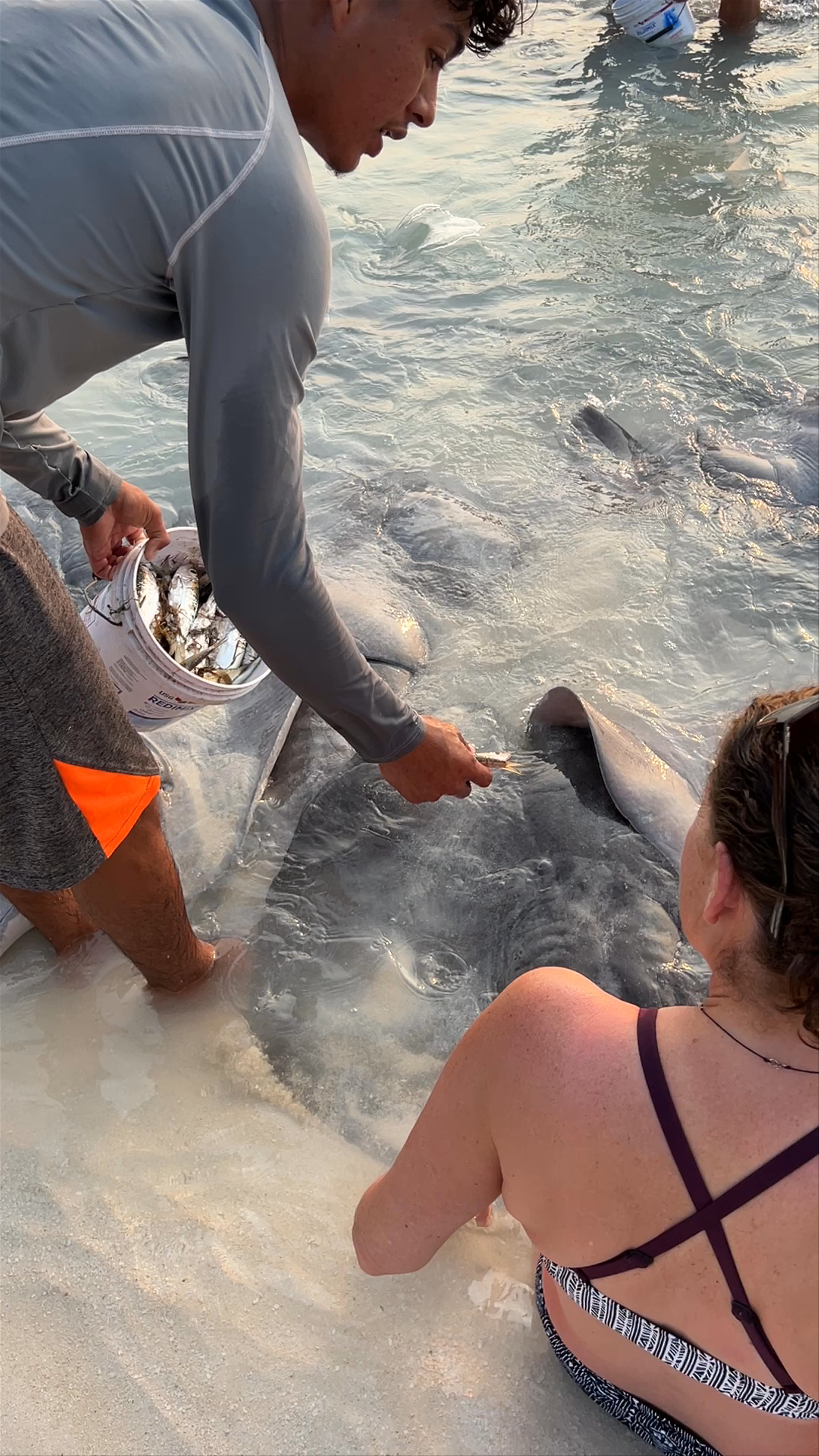 The Pelican Sunset Bar