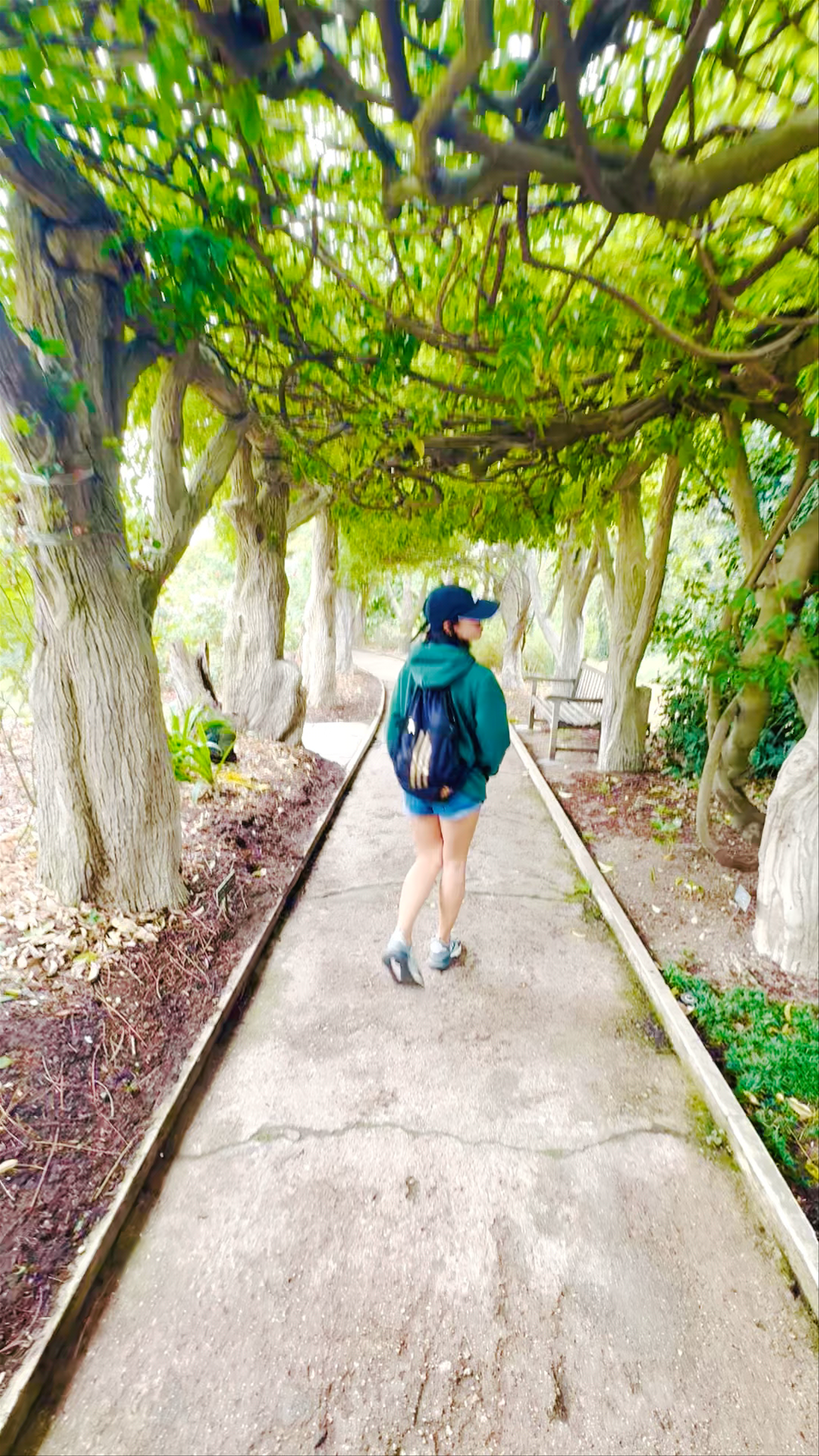 Huntington Library