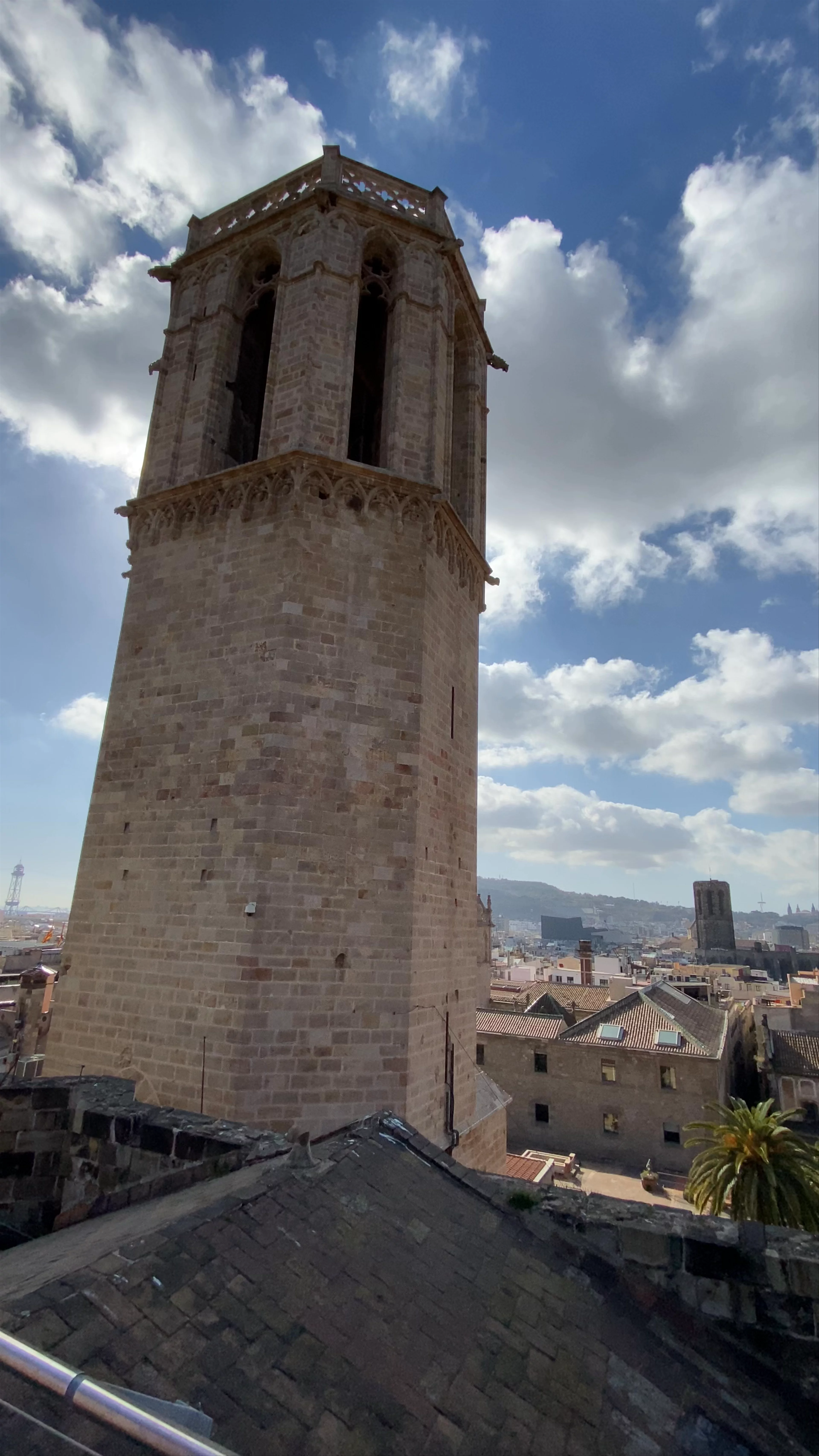 Catedral, Pla de la Seu, Barcelona, Spain