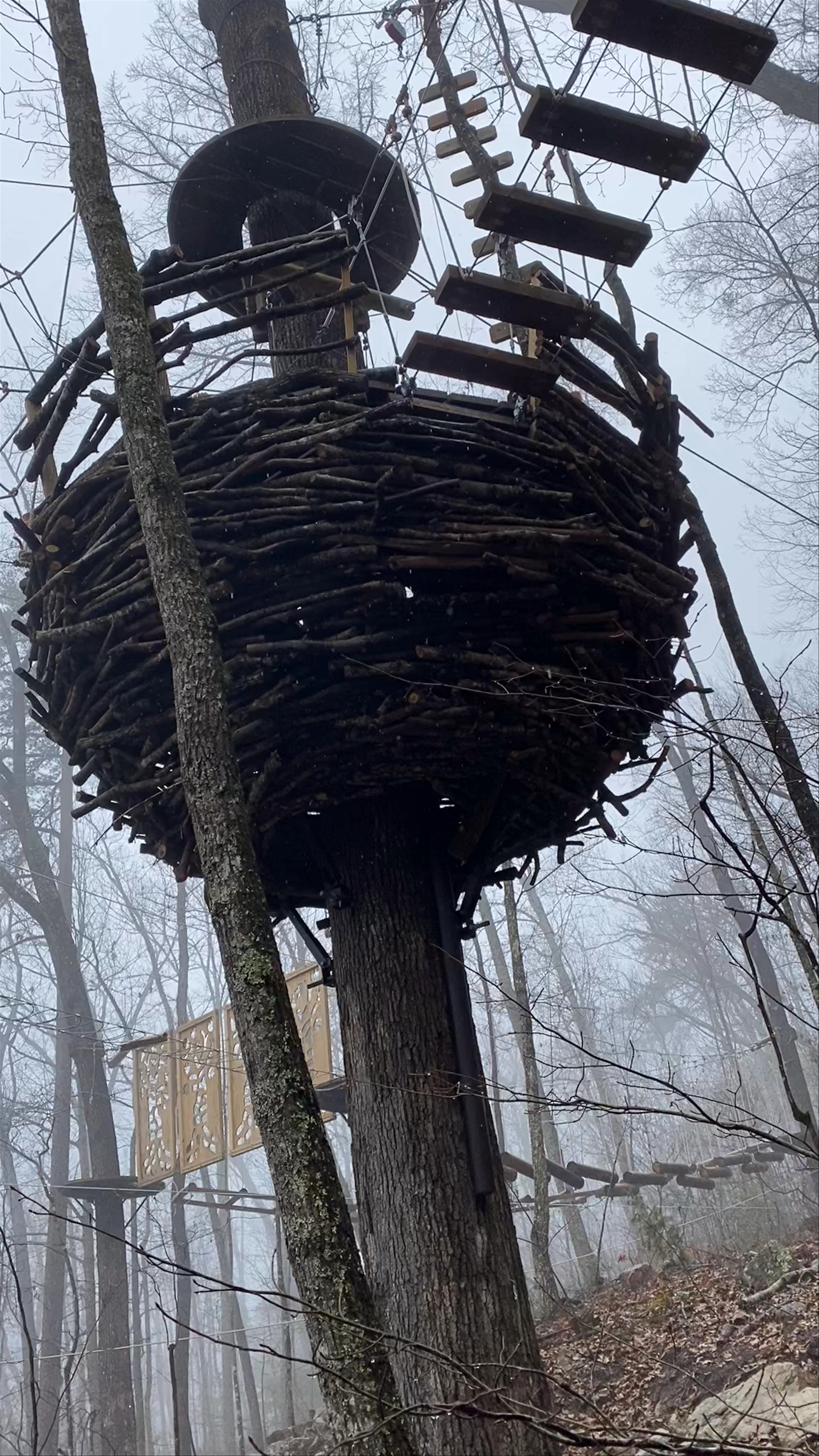 ropes course Blackberry Mountain