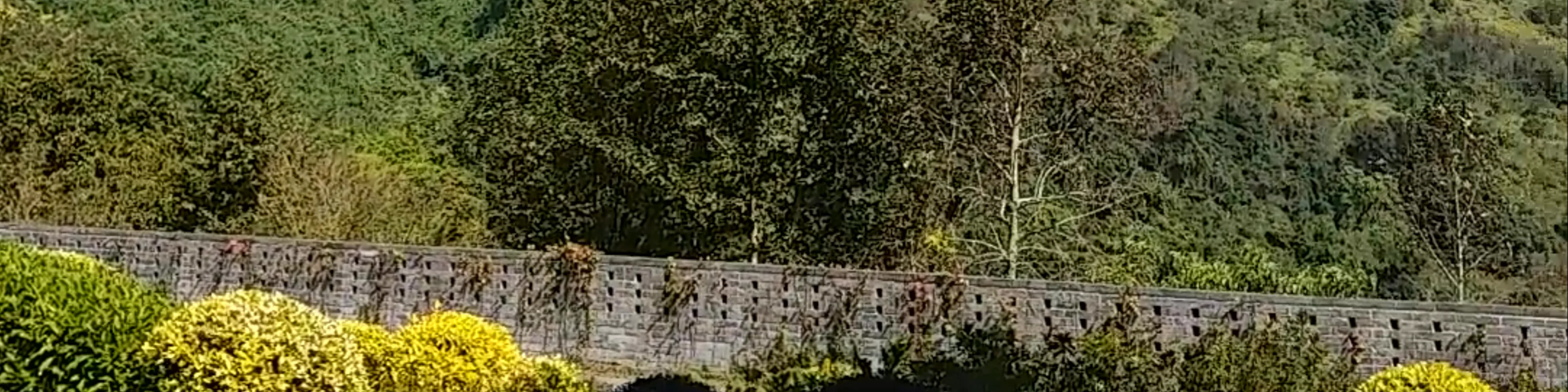 Tsz Shan Monastery