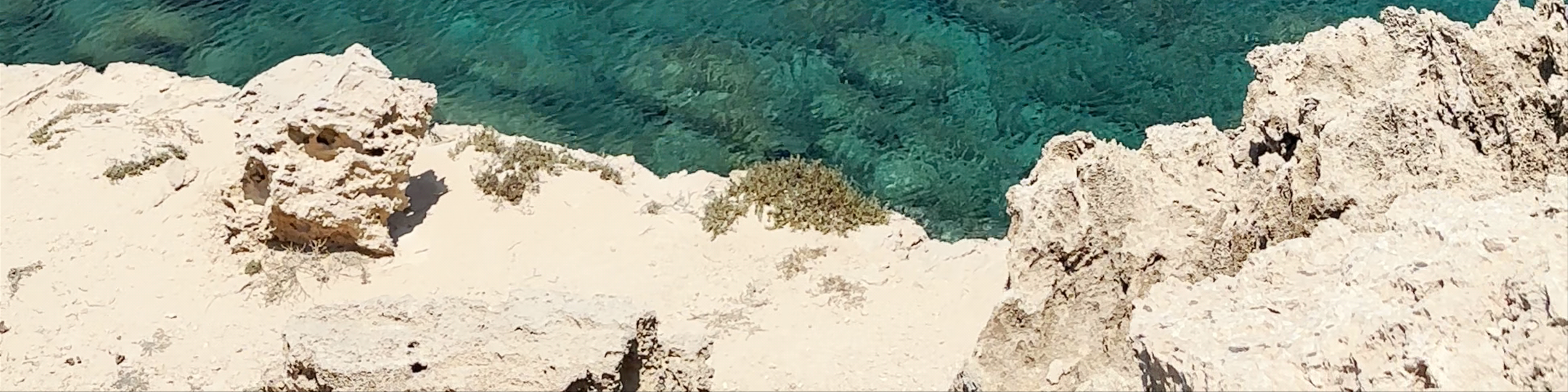 Protaras