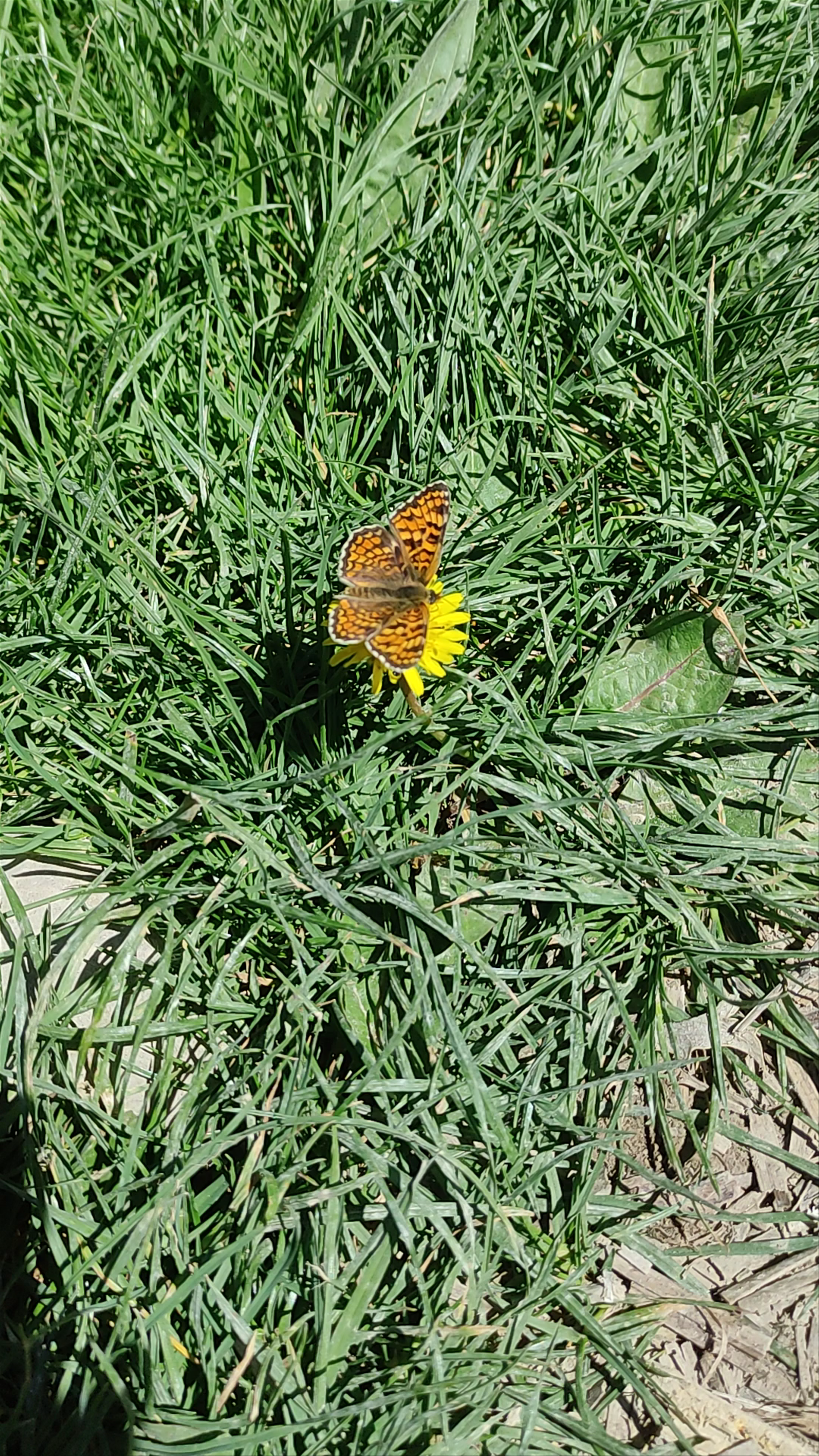 Sierra de Castril Natural Park