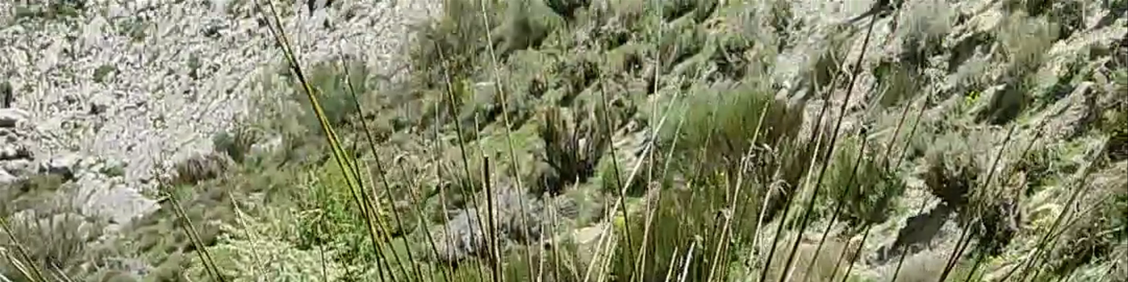 Sierra de Castril Natural Park