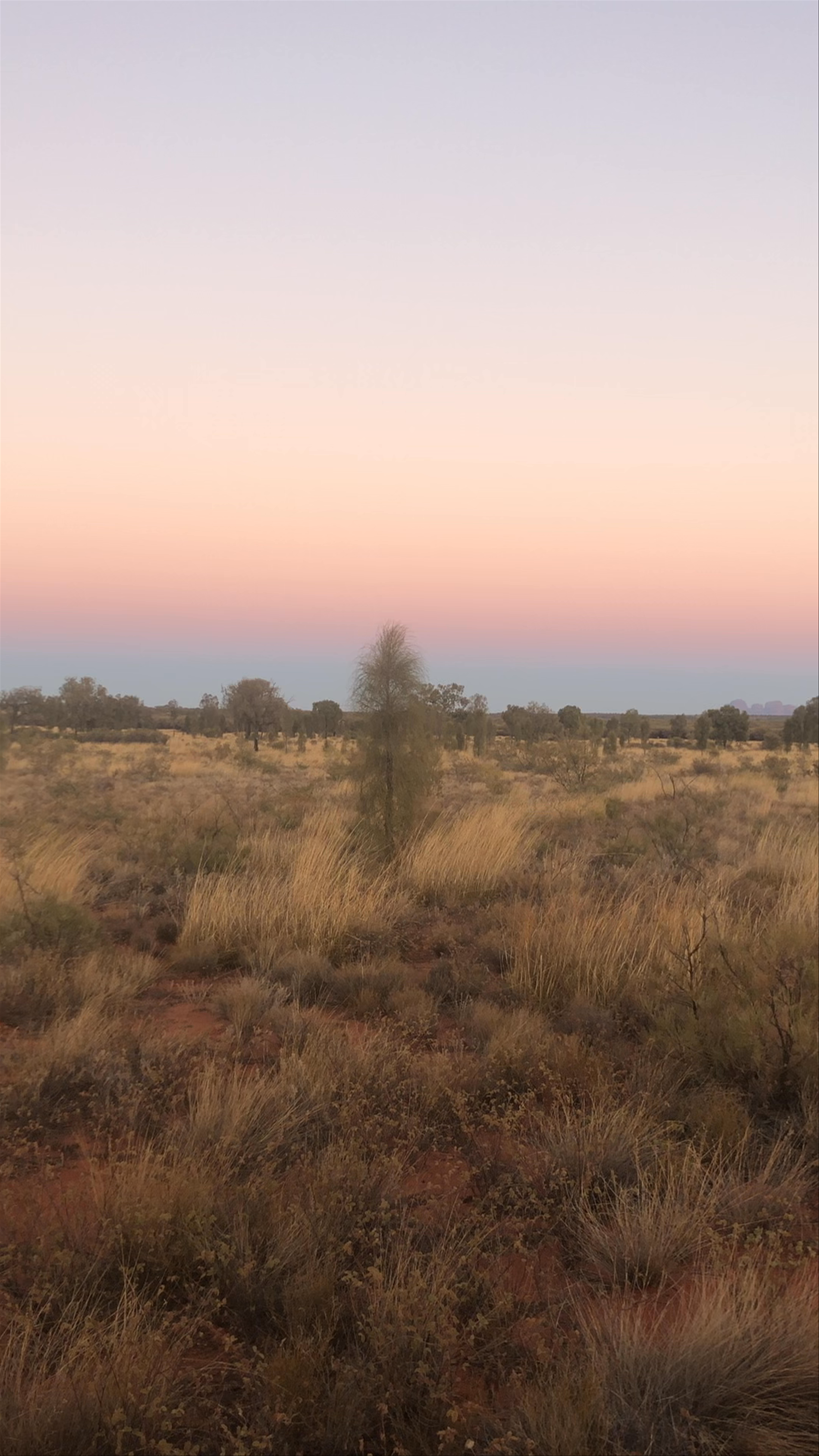Sunset Serenity at Uluru Viewing Area, Mutitjulu