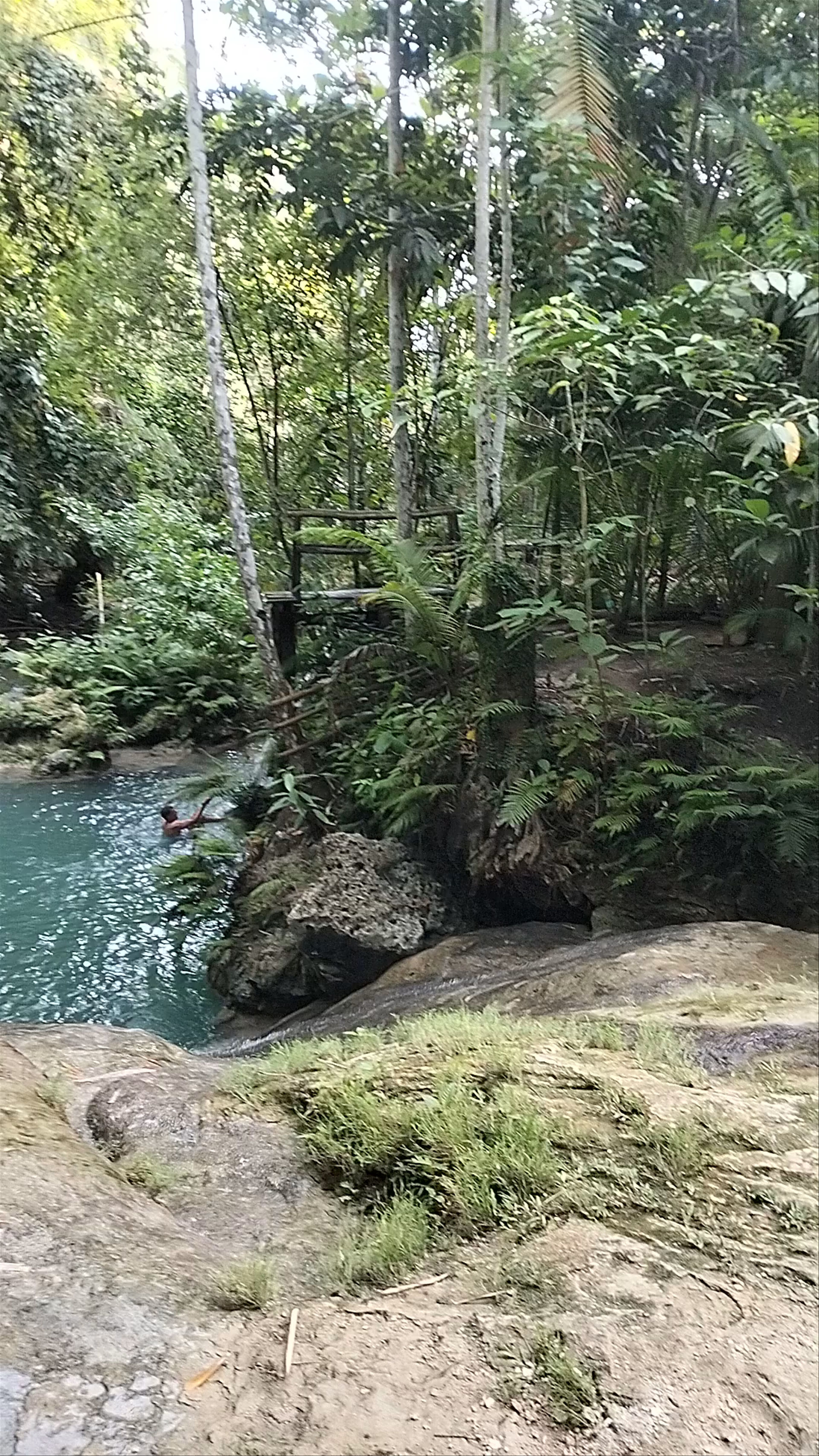 Kawasan Falls & Cave: Jungle Swimming in Badian, Philippines