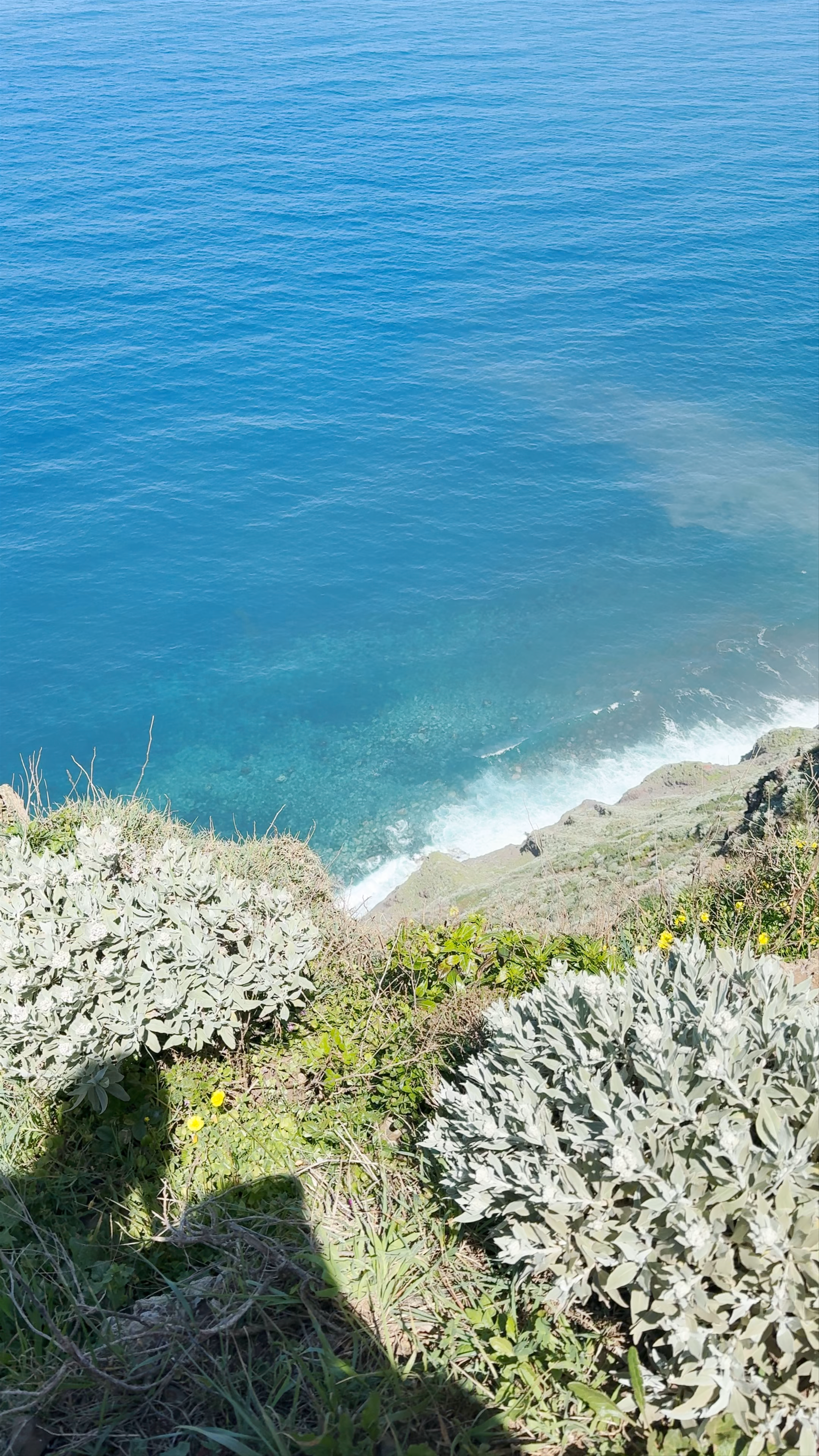 Miradouro Farol da Ponta do Pargo