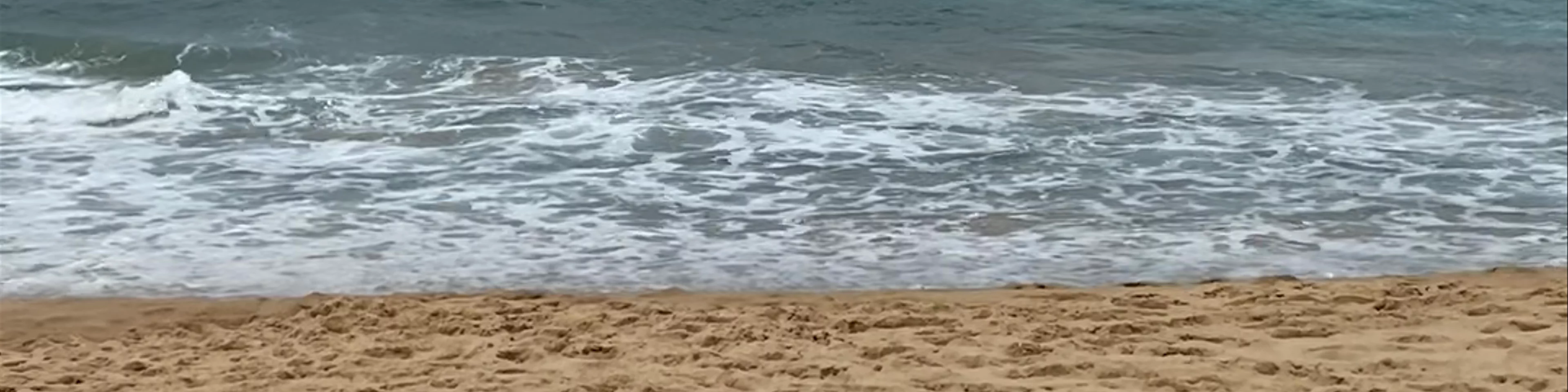 Garie Beach