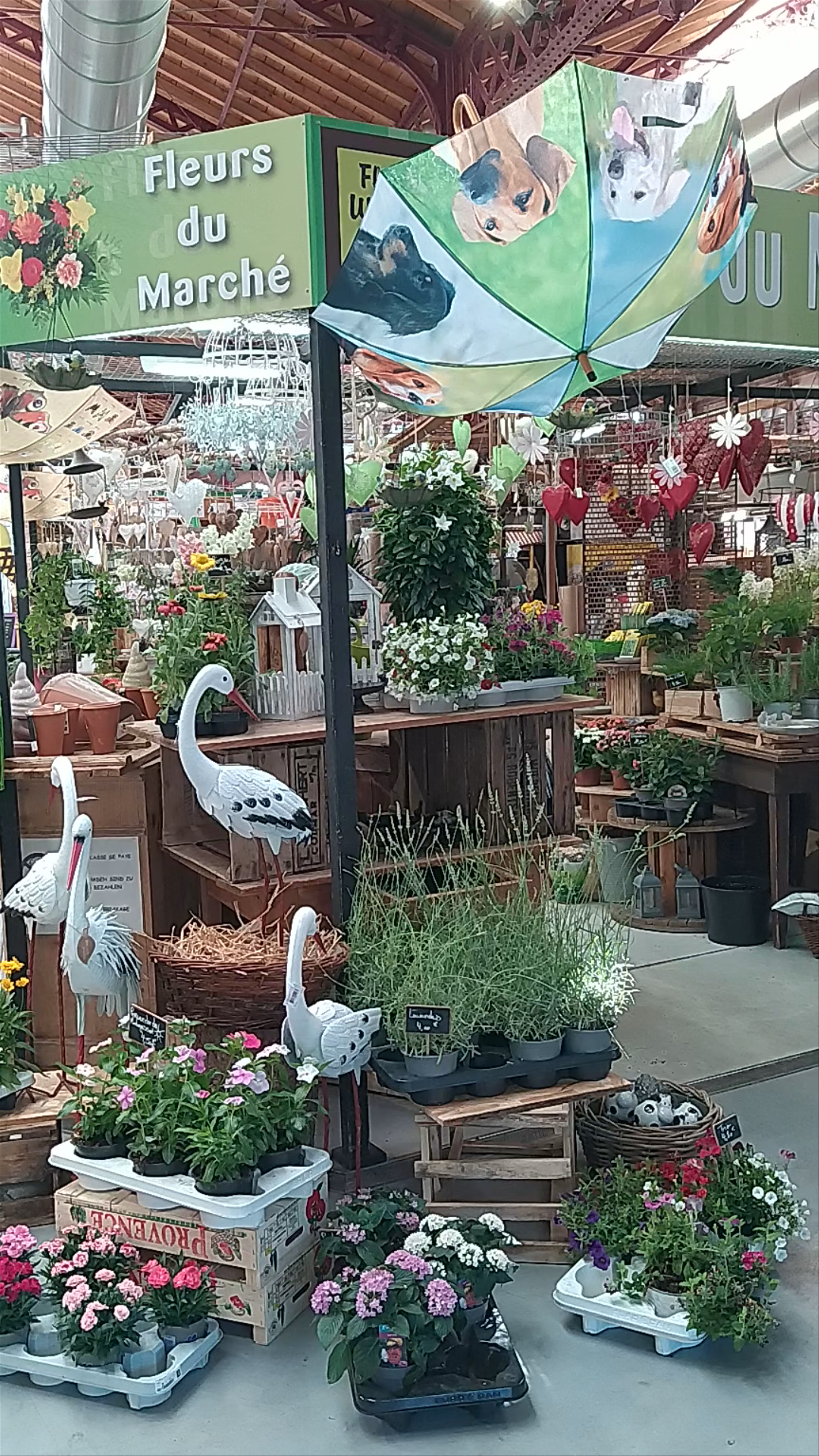 Marché Couvert Colmar: Charming Indoor Market in Grand Est, France