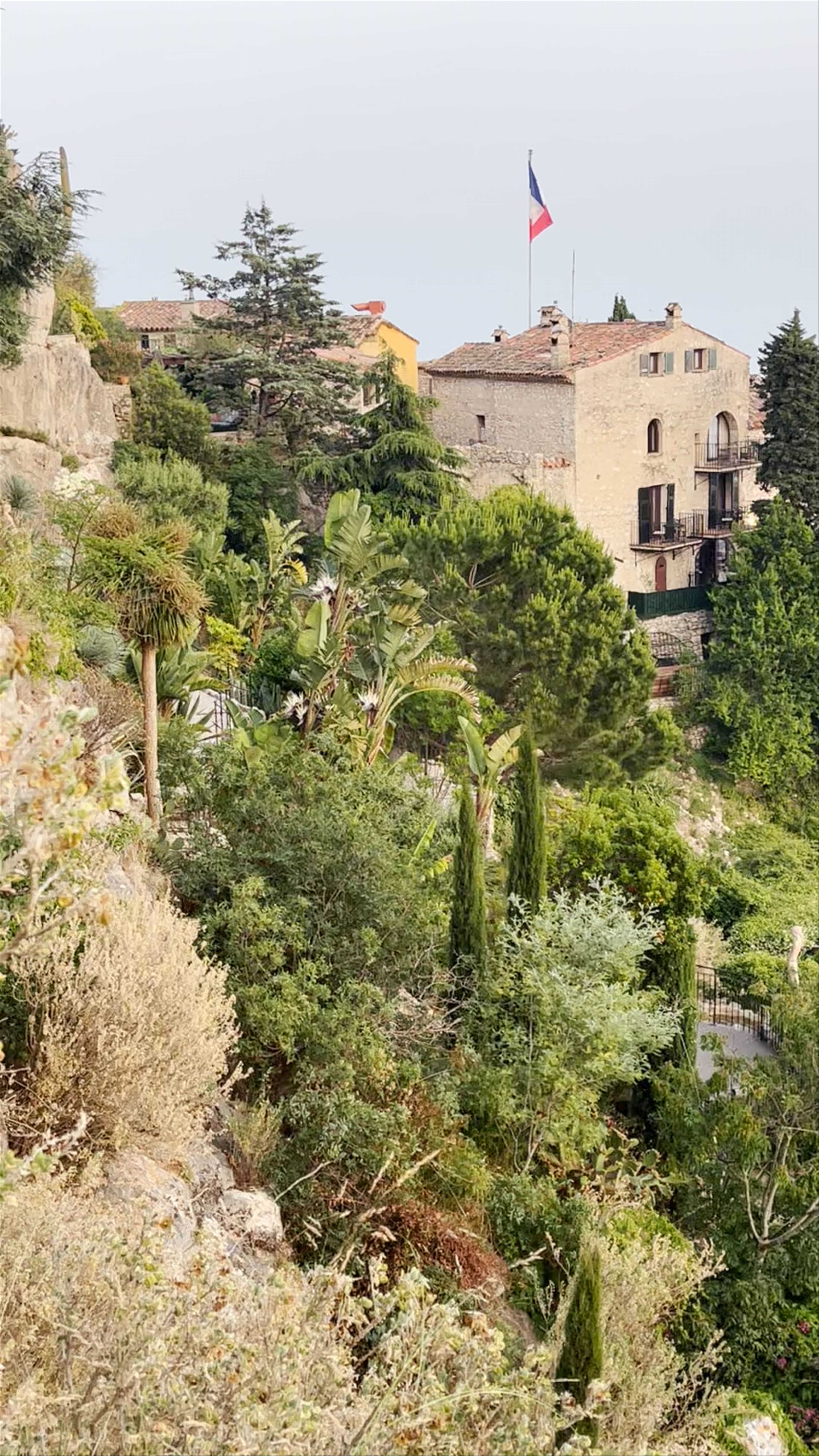 Jardin Exotique d’Èze: A Mystical Cliffside Garden Experience