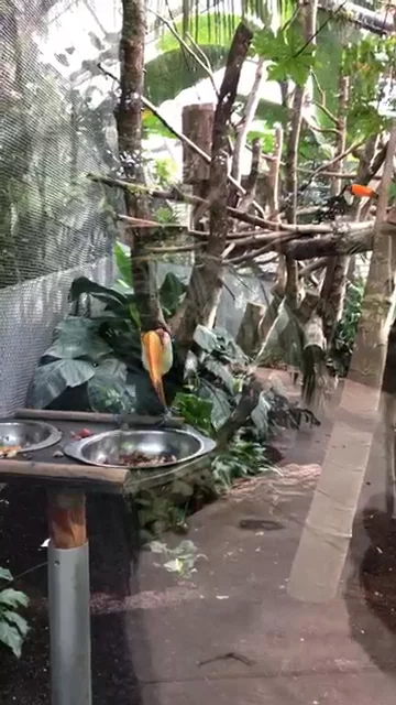 Parc zoologique de Paris