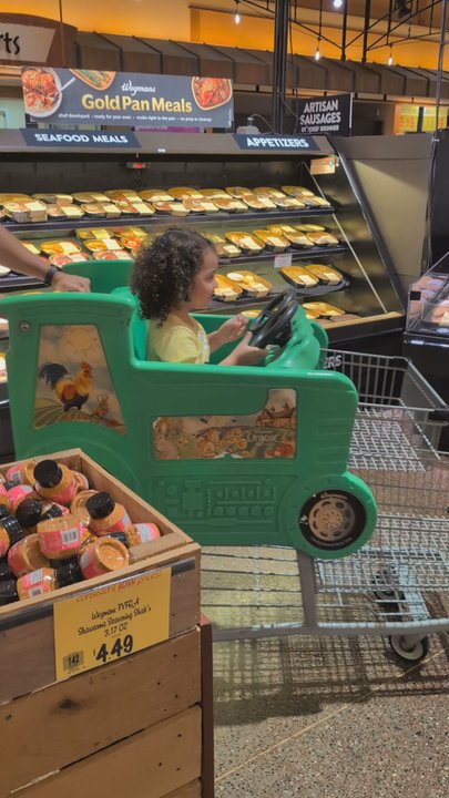Wegmans - Love the shopping carts. - Grocery Near Me - Cherry Hill, New Jersey