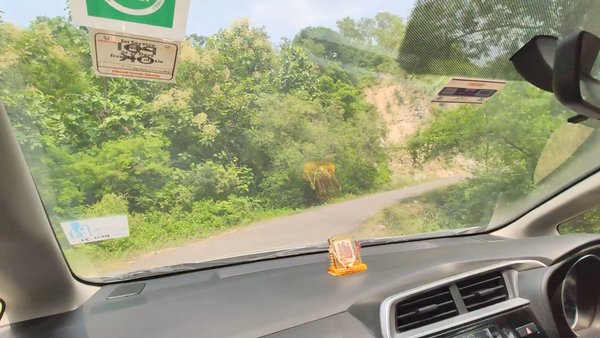 Photo of A short road trip to