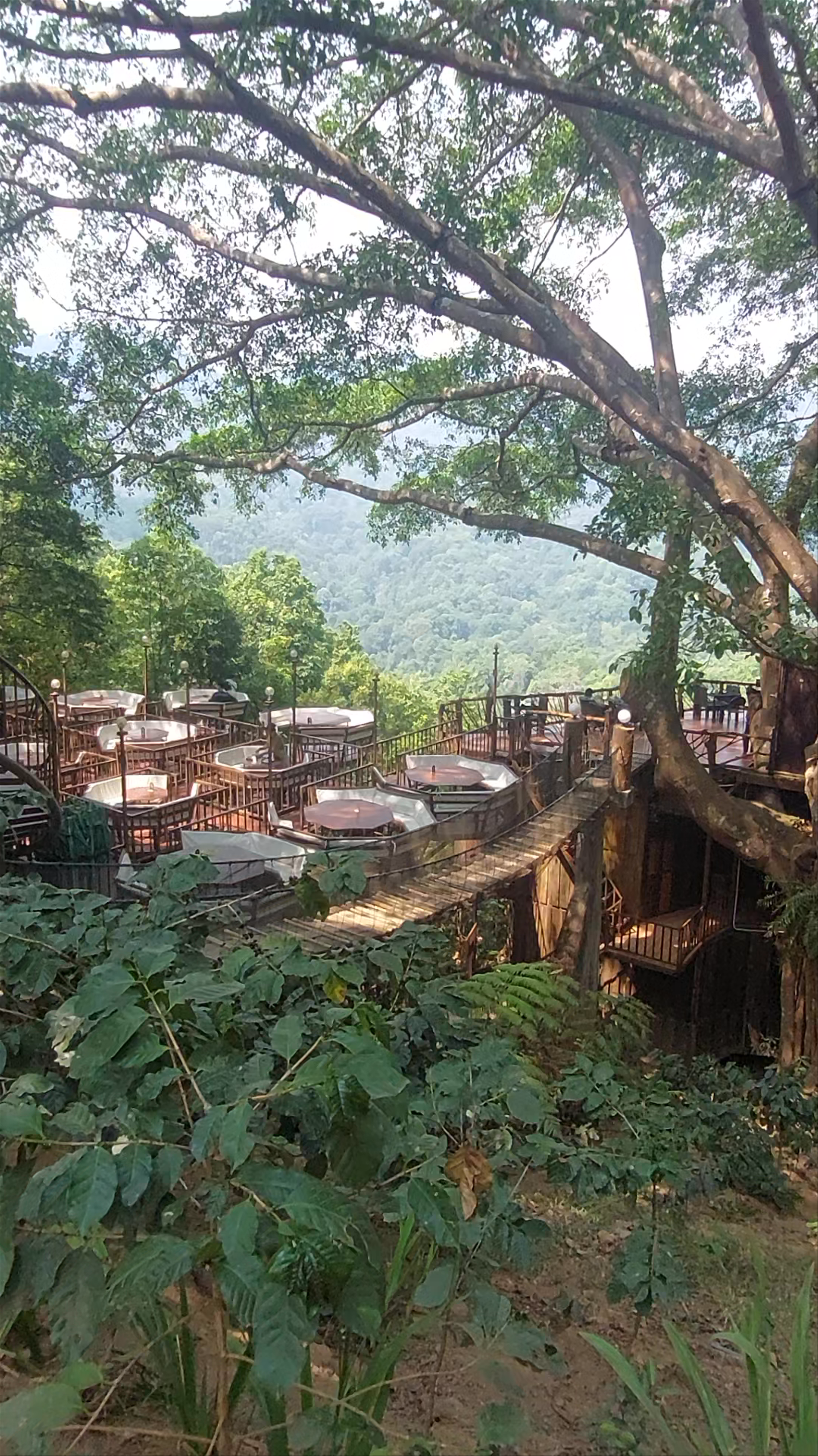 The Giant Chiangmai Thailand