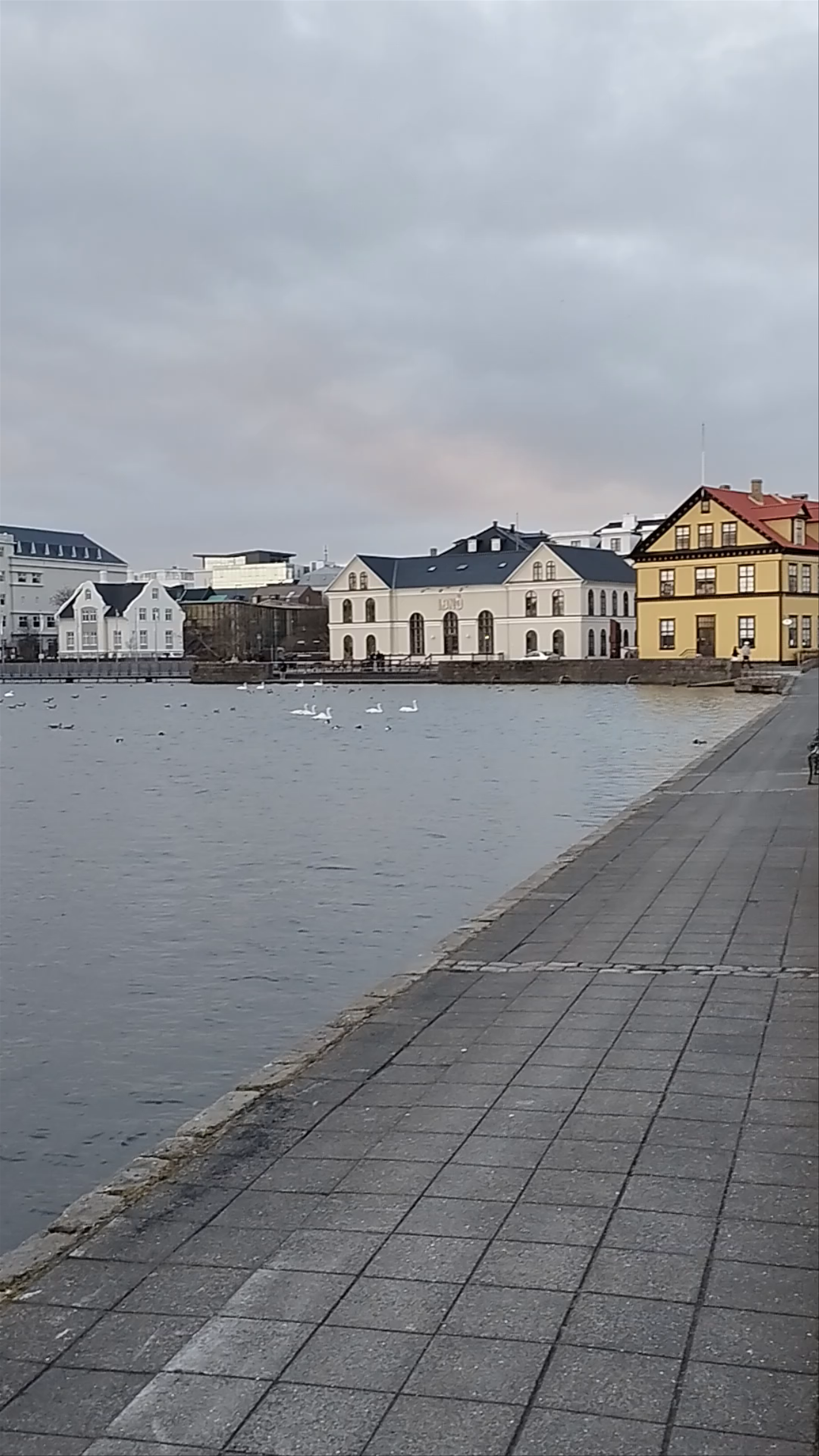 Tjörnin Rocks