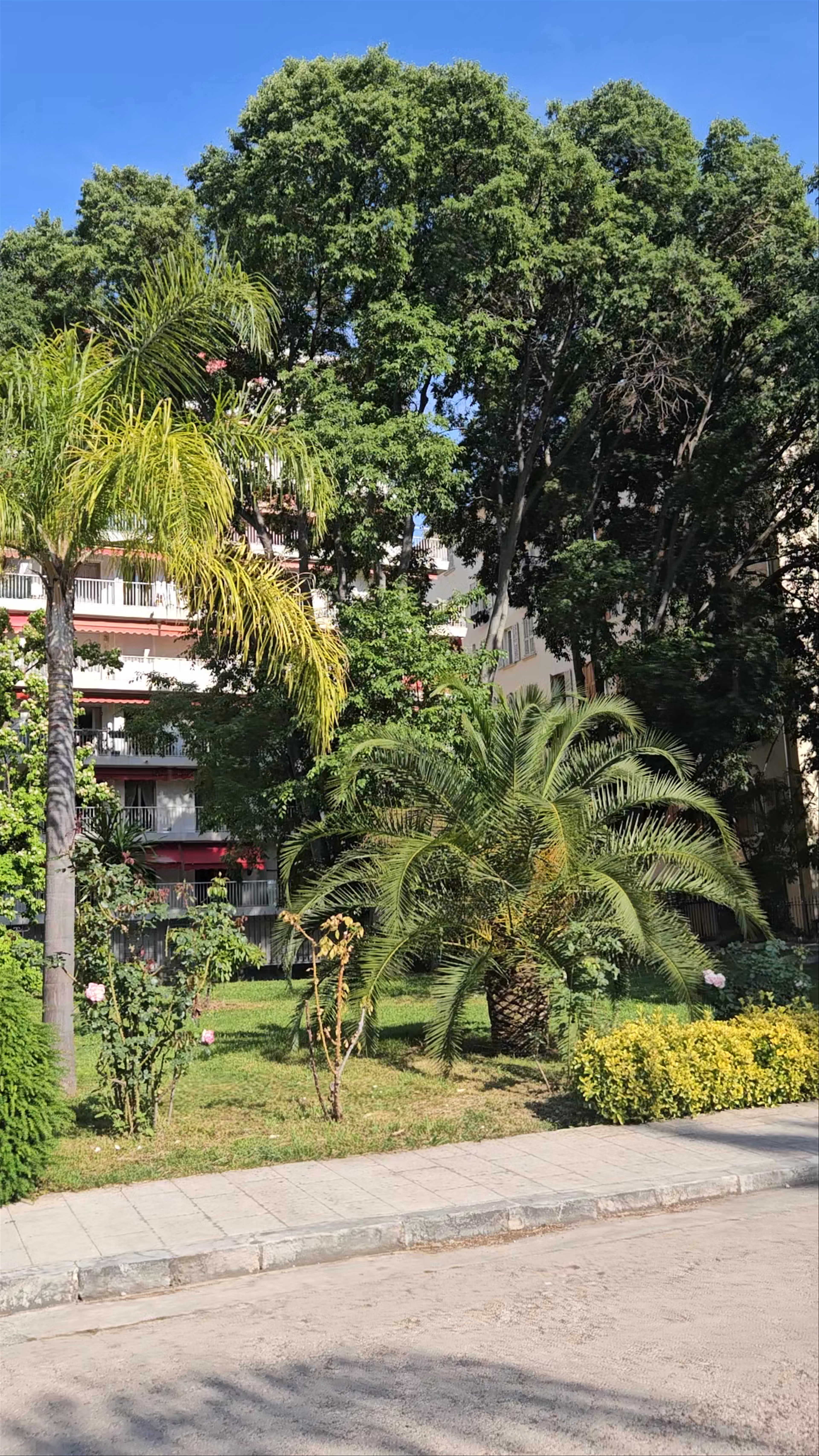 Cathedral Saint-Nicholas of Nice: Sunlit Gardens and Iconic Architecture