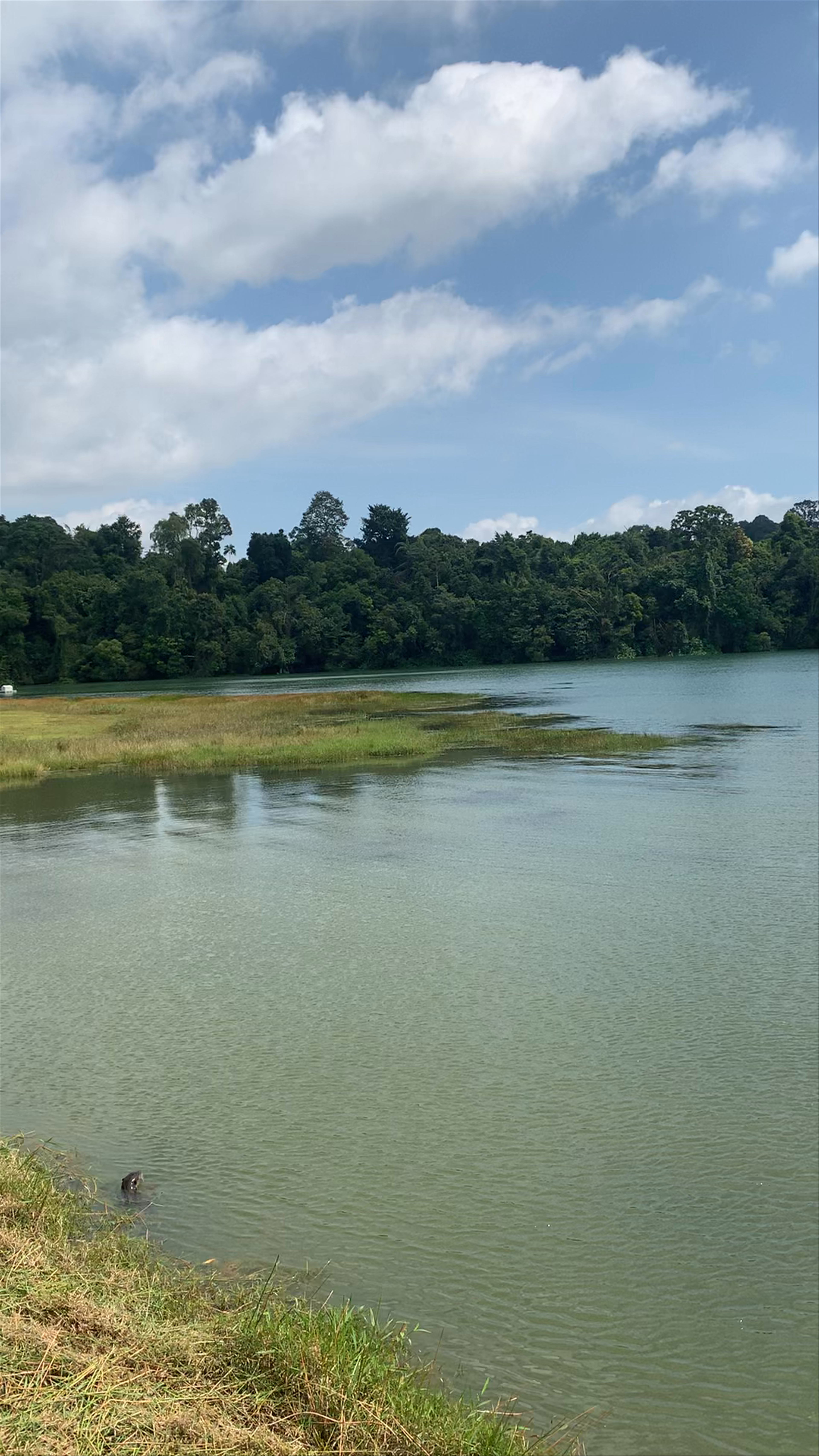 MacRitchie Reservoir