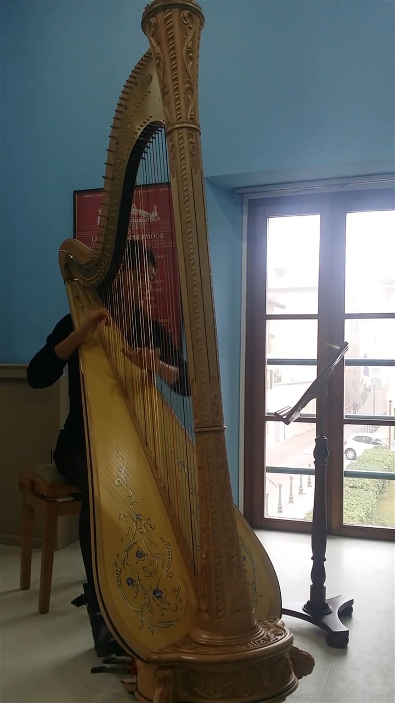 Sofi Harpist - Greensleeves - video