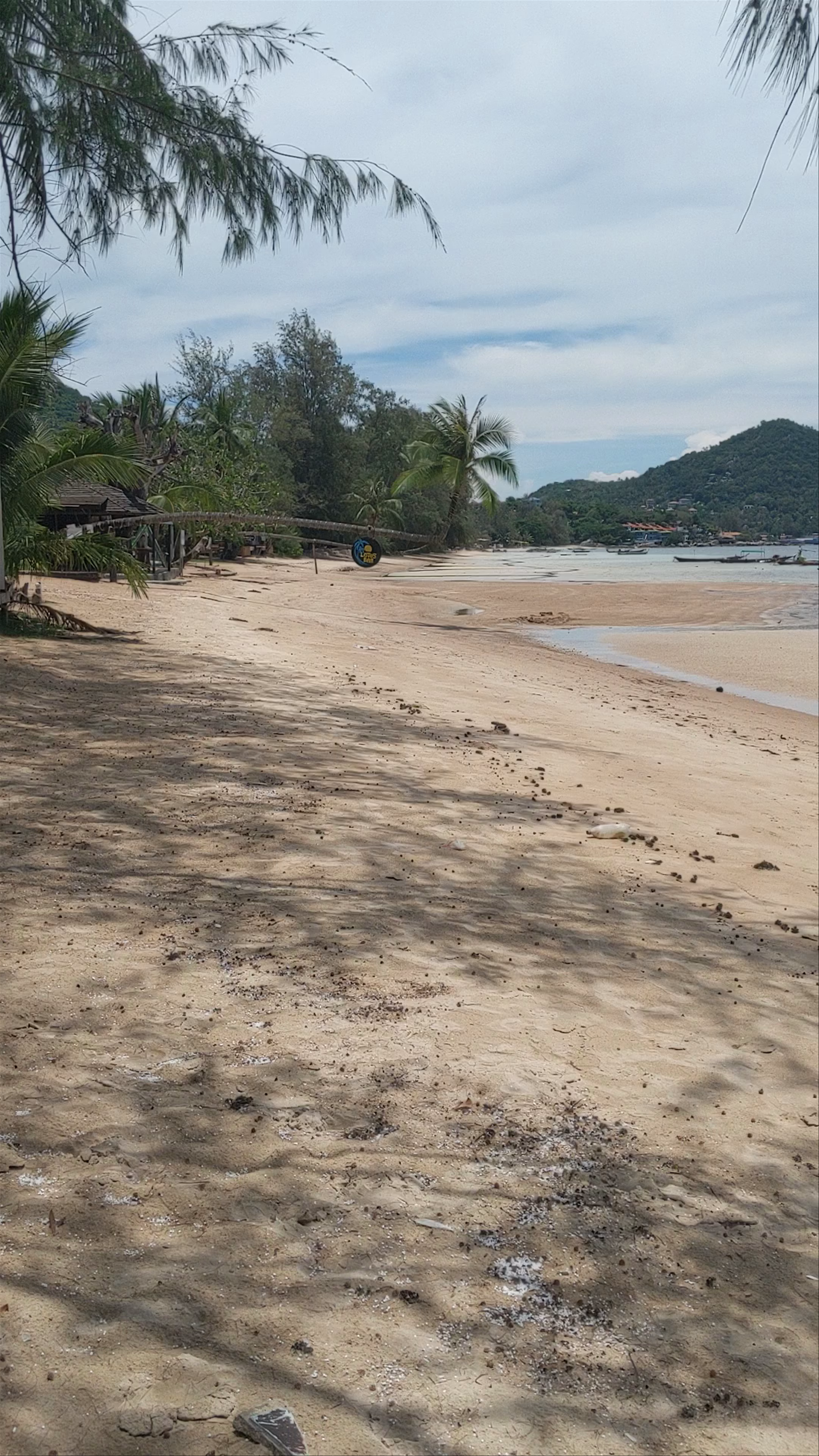 Sairee Beach: Serene Tropical Escape on Ko Tao