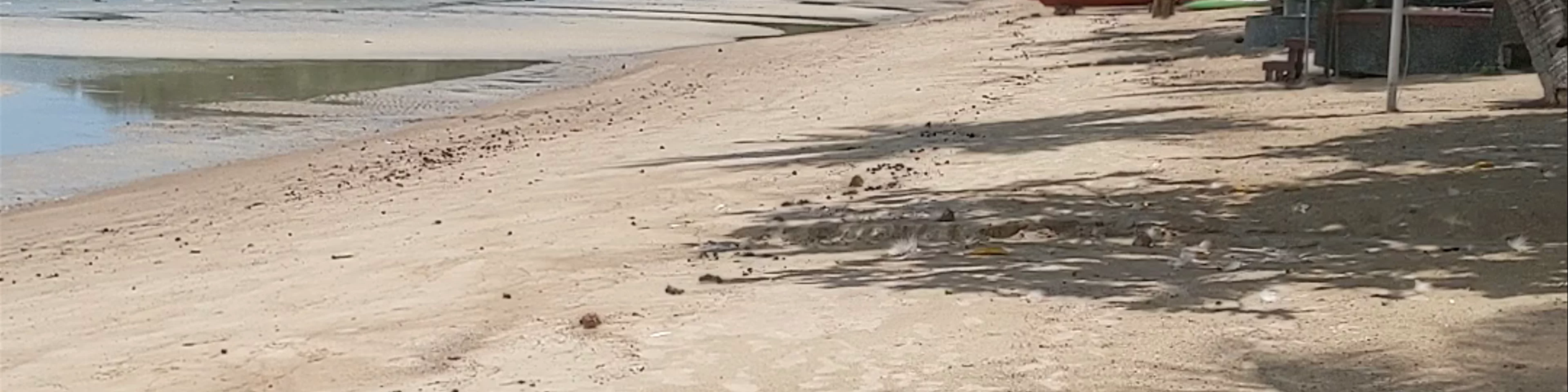 Sairee beach