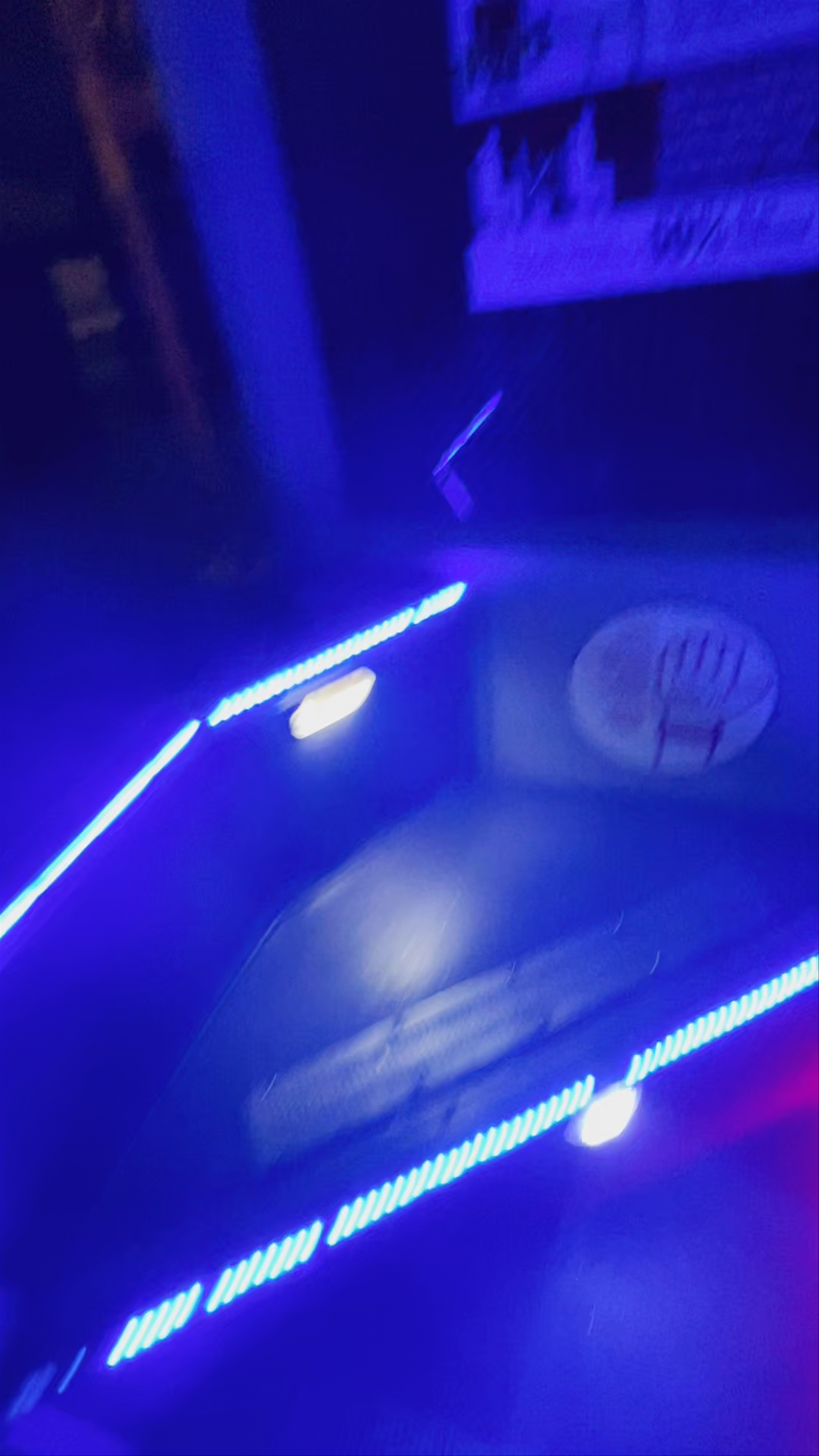 Turibus