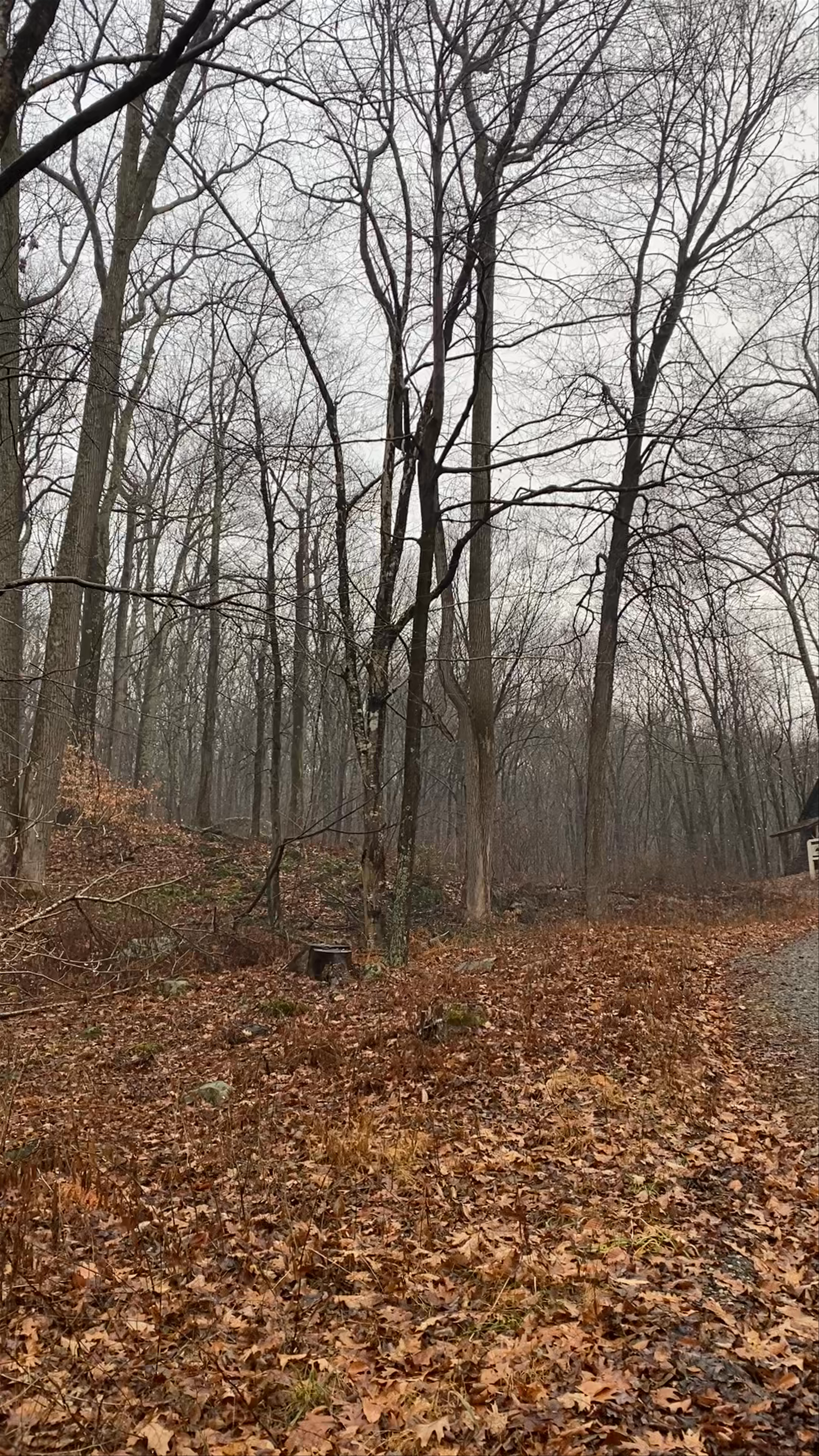 Putnam Memorial State Park