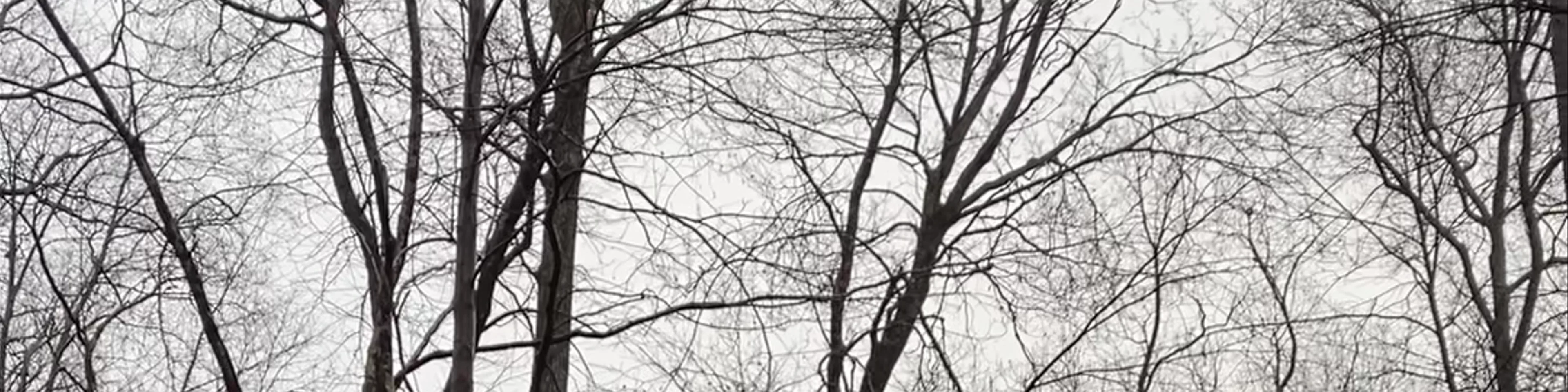 Putnam Memorial State Park