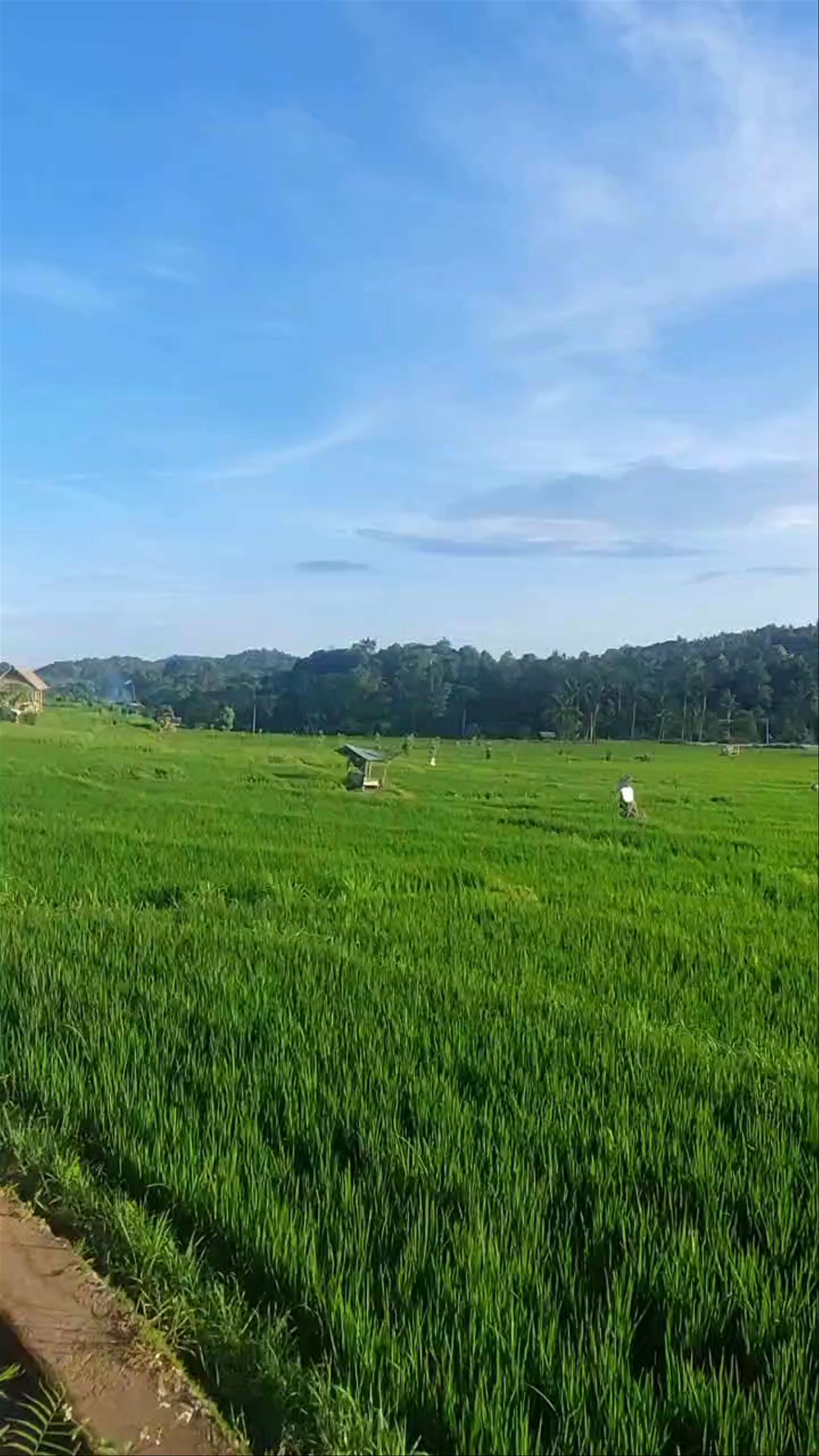 Pura Penataran Agung Lempuyang