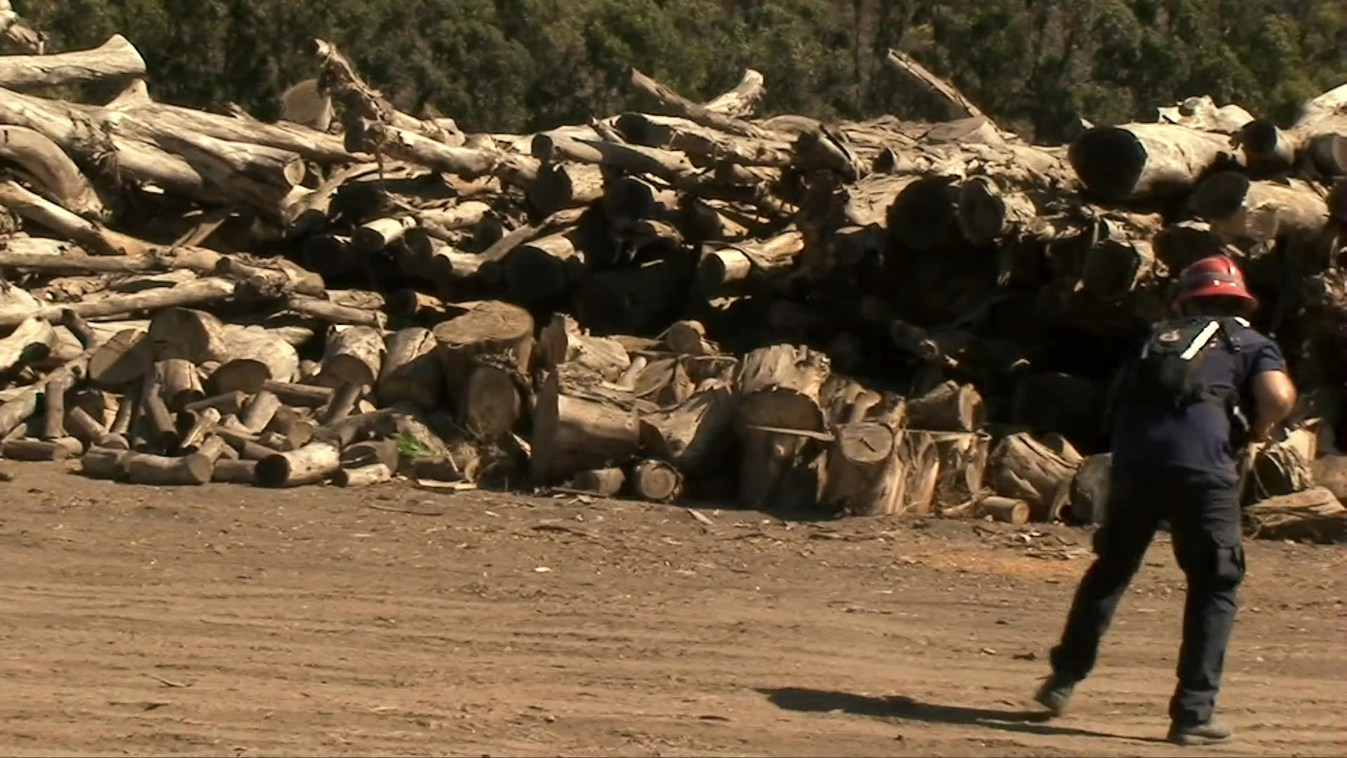 A search and rescue handler and his black Labrador retriever, Gabby, practice specialized agility and search maneuvers in preparation for FEMA certification.