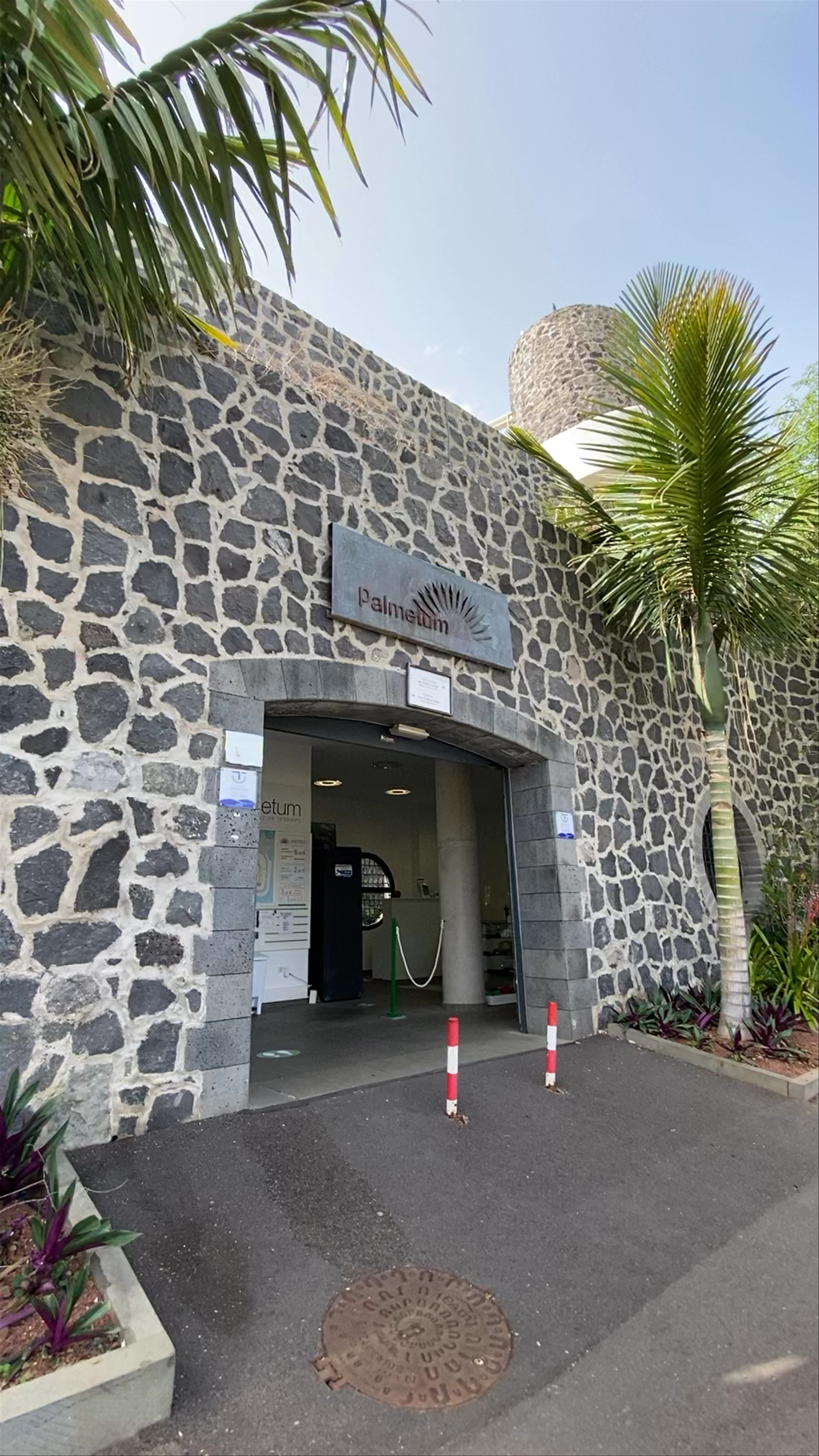 Palmetum Botanical Garden: Tropical Oasis in Santa Cruz de Tenerife