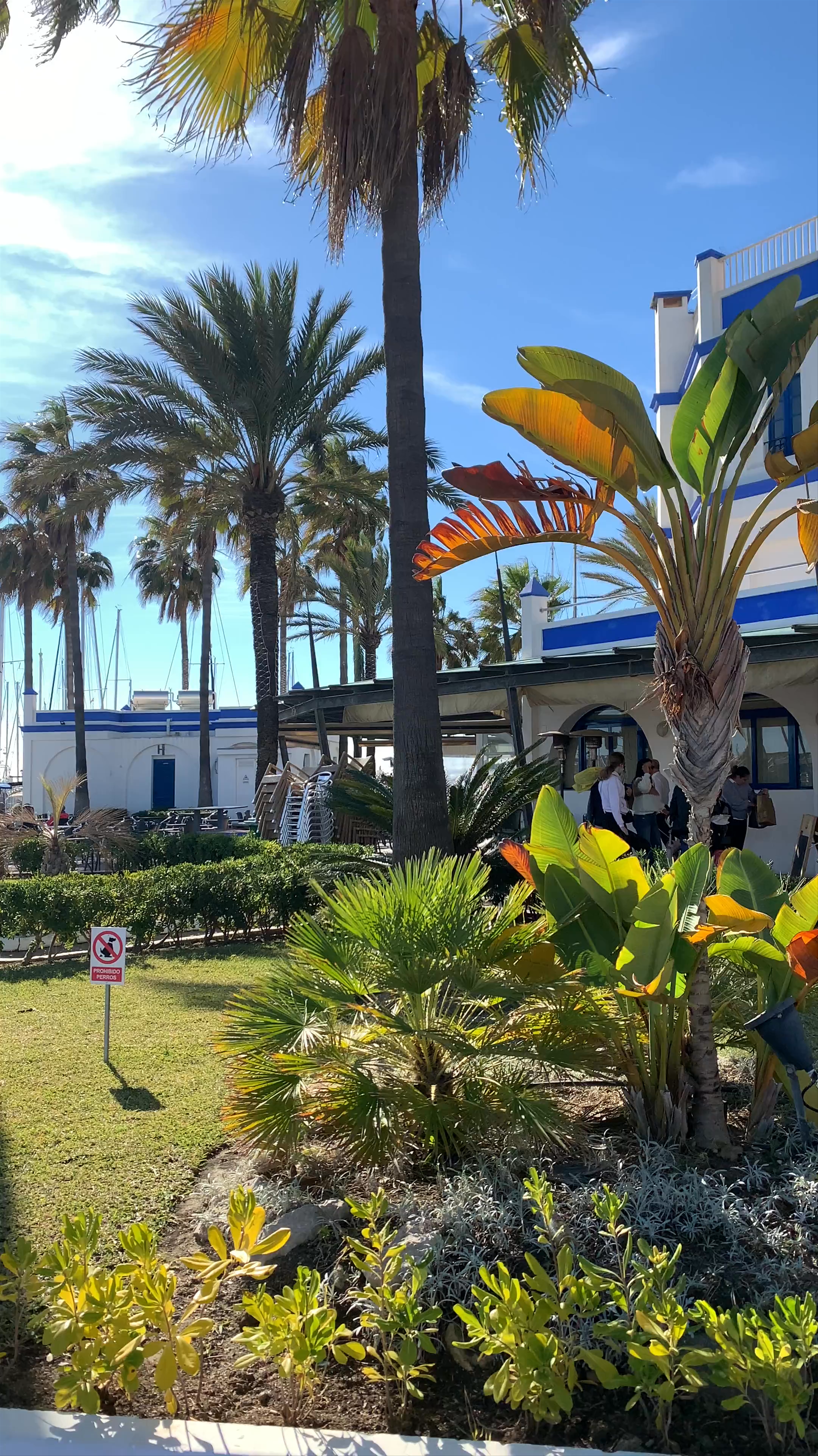 Puerto Deportivo de Estepona