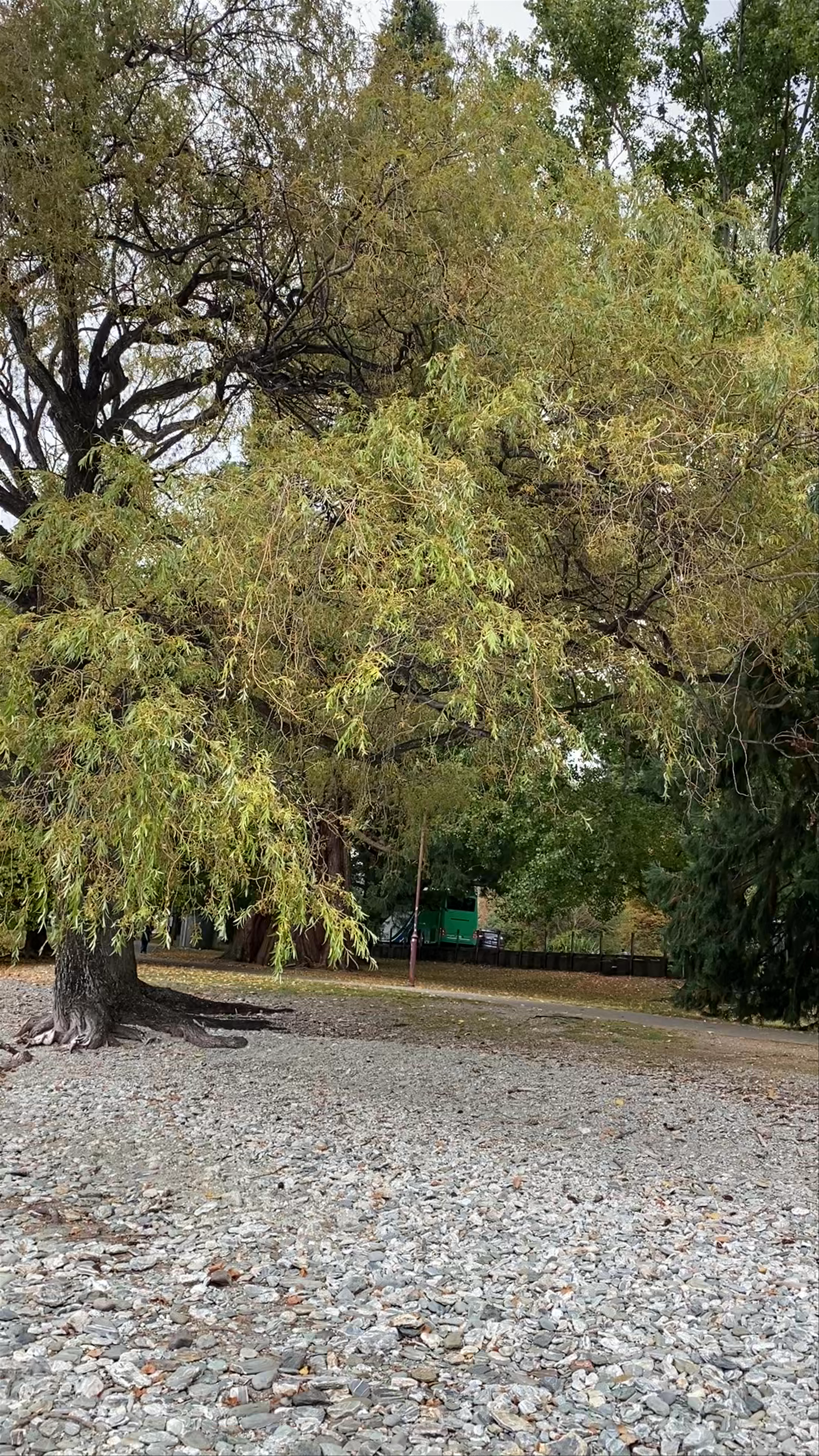 Saint Omer Park Serenity: A Tranquil Lakeside Escape in Queenstown