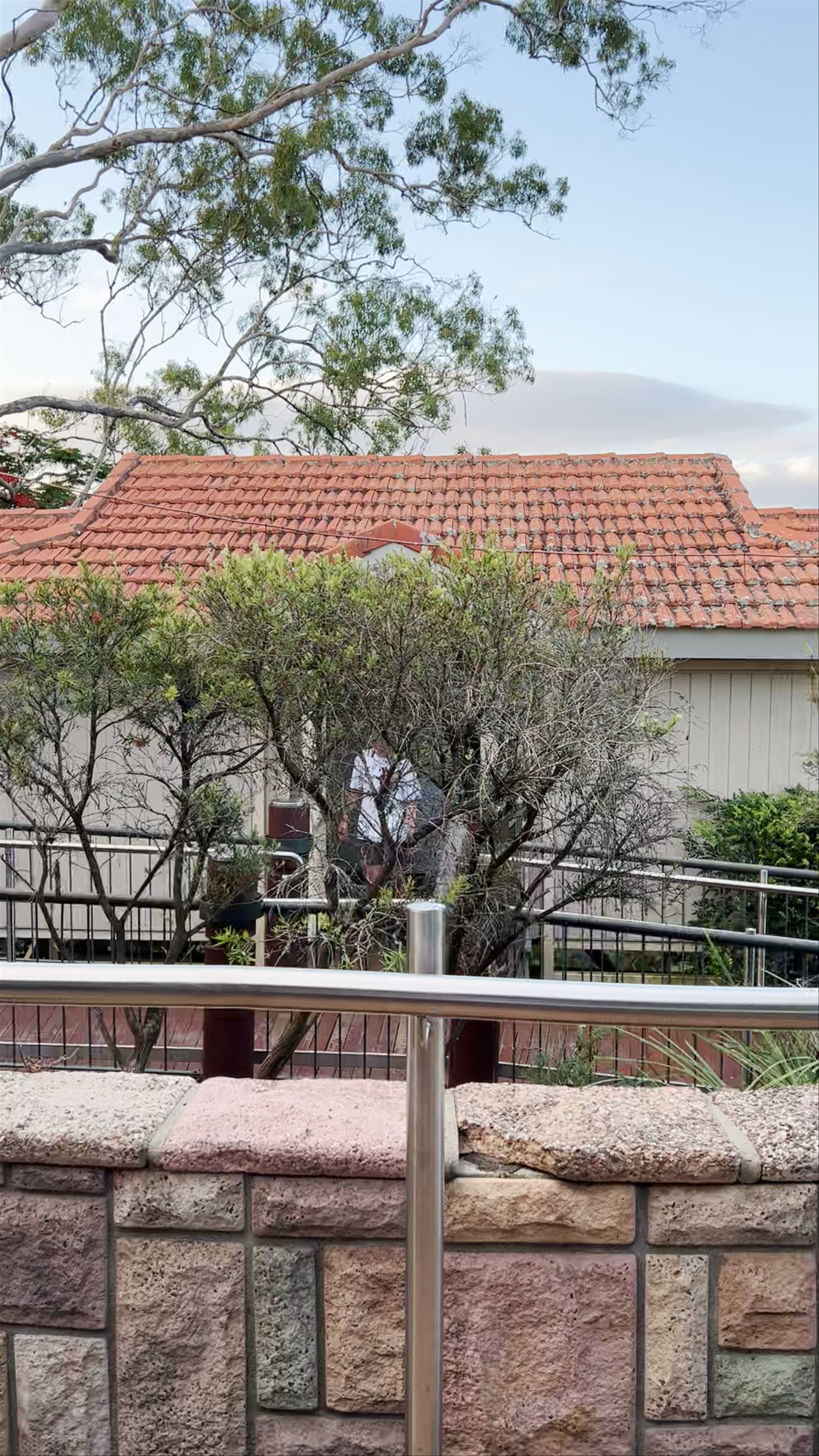 The Summit Cafe | Mount Coot-Tha