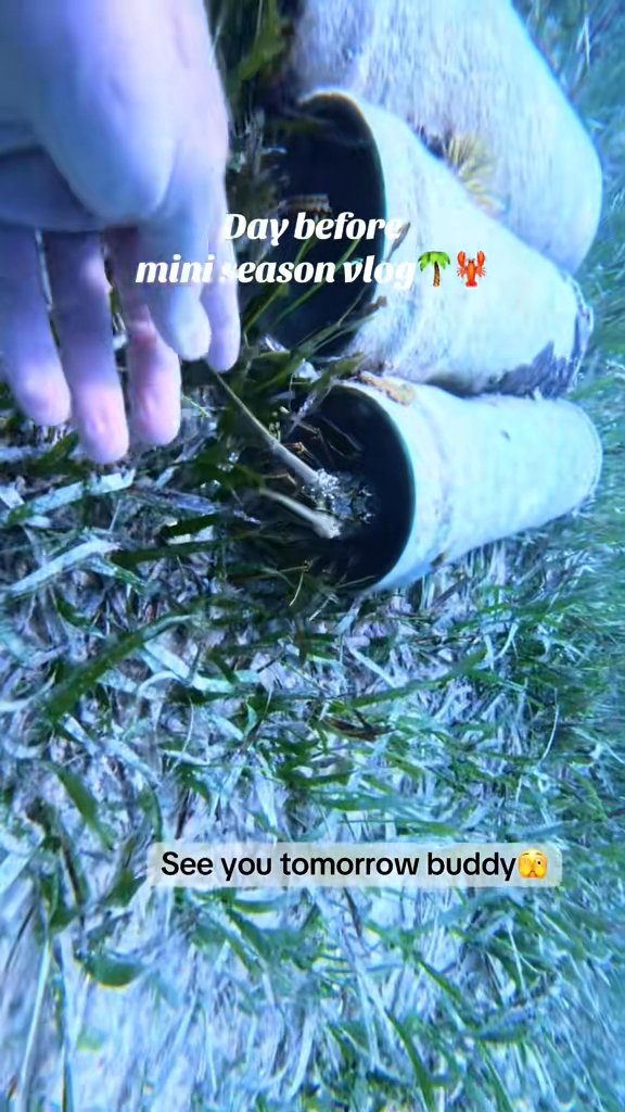 Calm before the storm 🦞🤙🏼