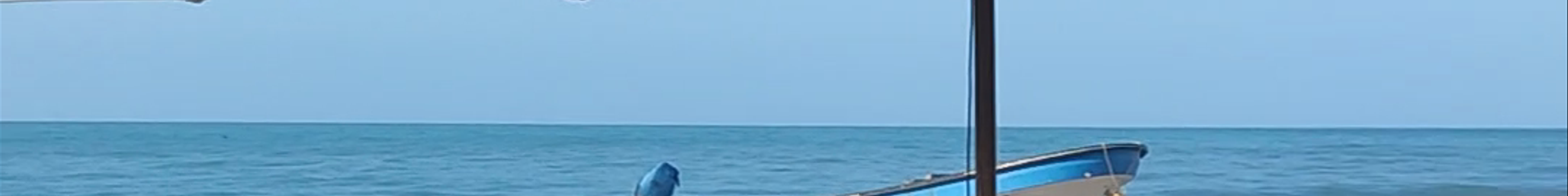 Tours & experiences in Santa Marta